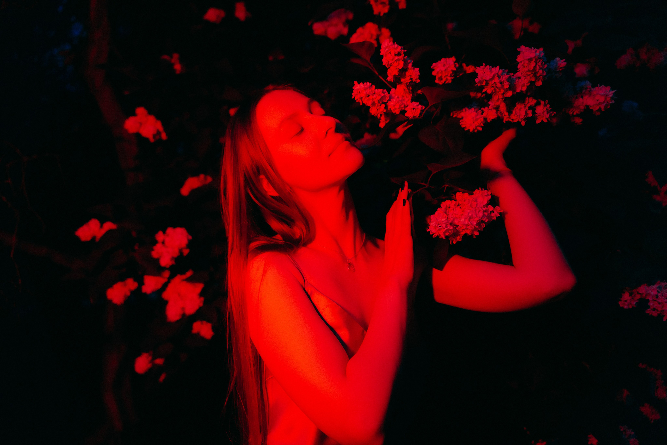 Сиреневый сад. Фотограф Москва