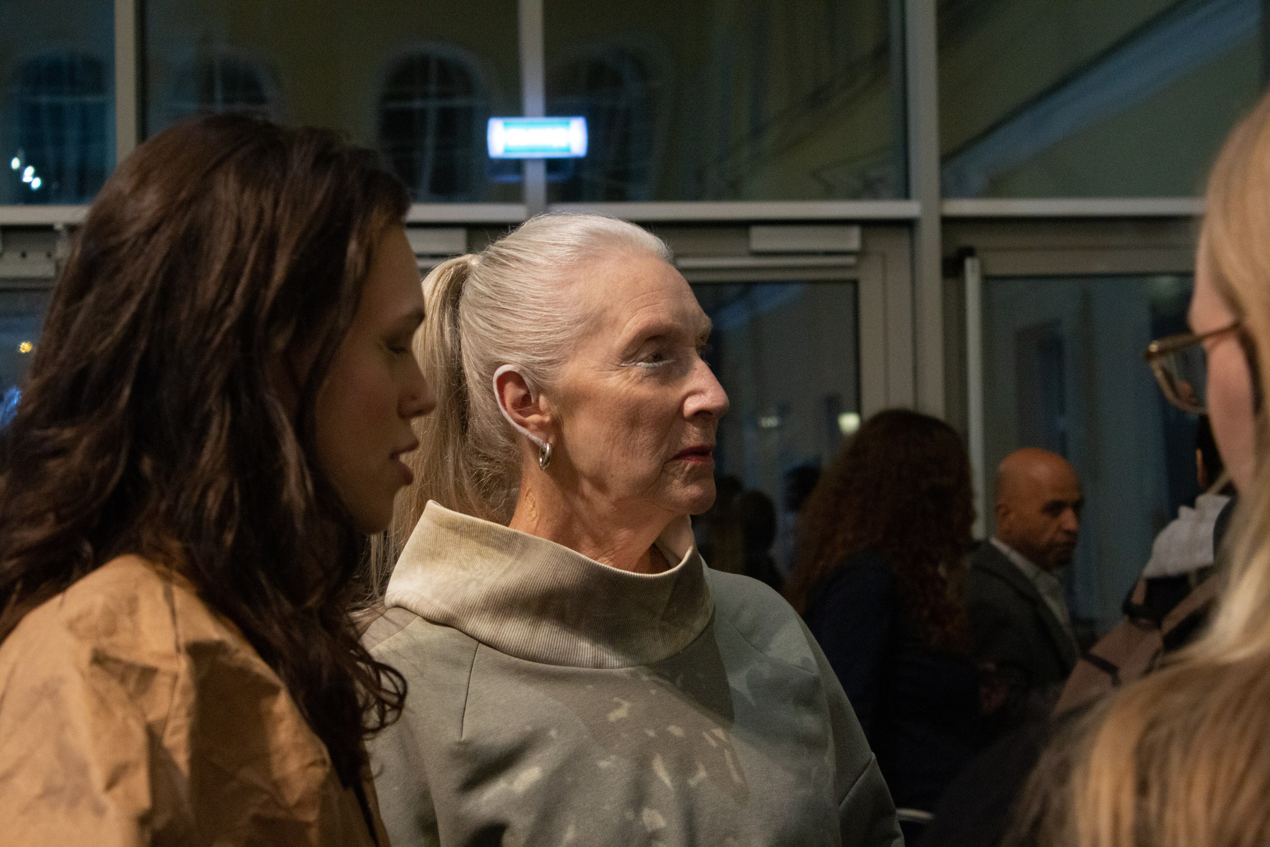 Telling stories. Фотограф Полина Треногина