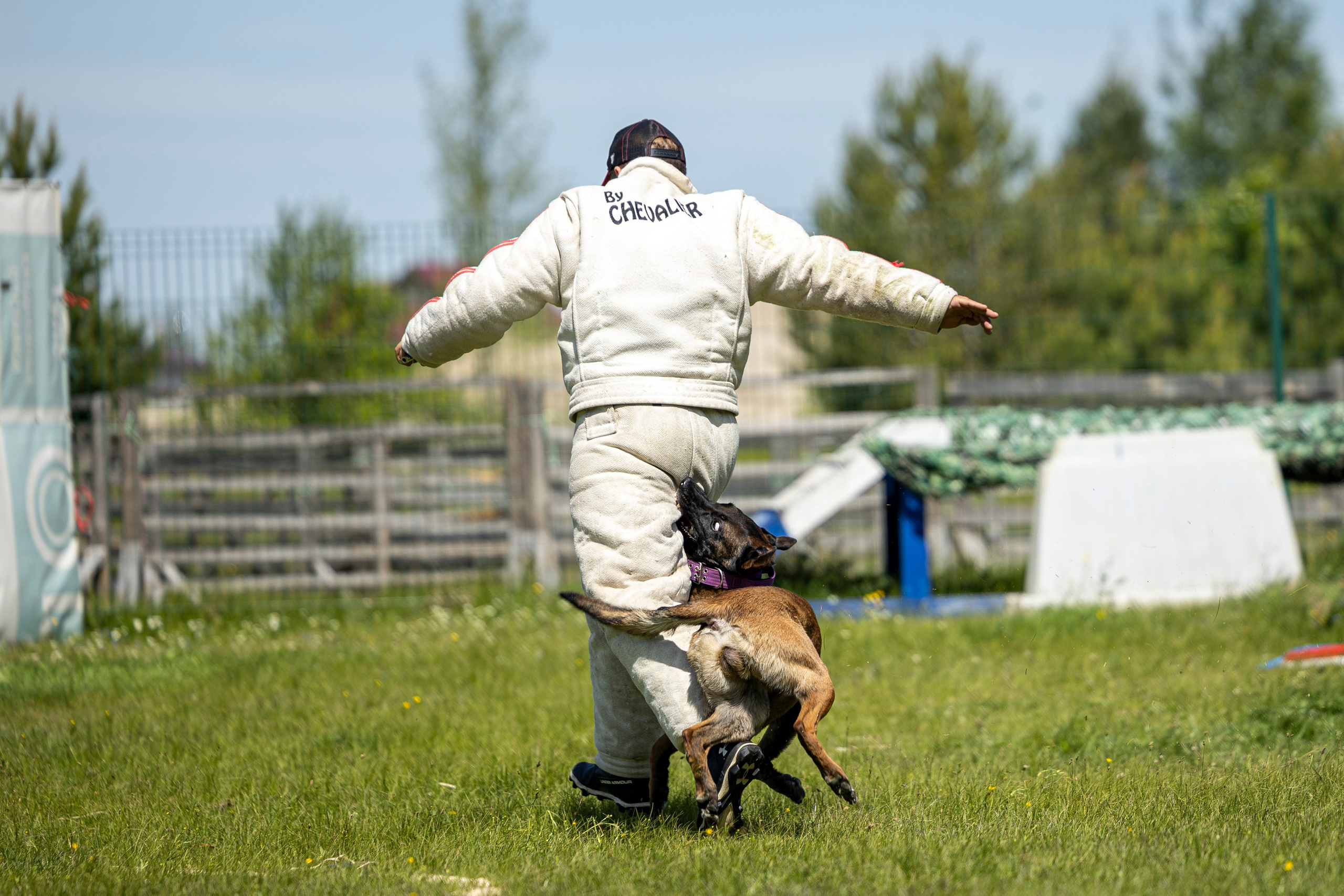 Испытания по мондьорингу в Нижнем Новгороде. Фотограф-анималист Анна Маринич