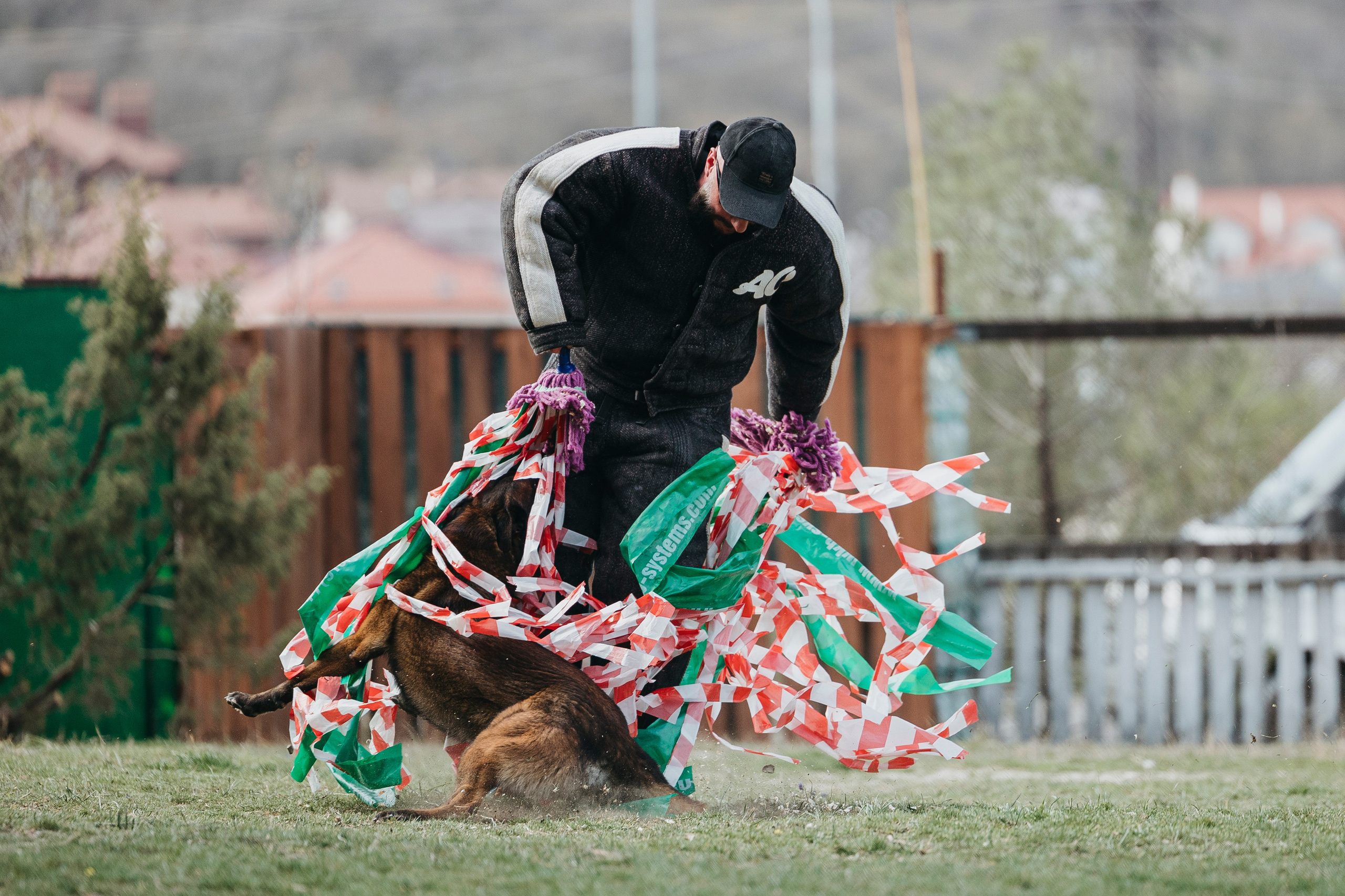 Геленджик Мондьоринг. Фотограф-анималист Анна Маринич