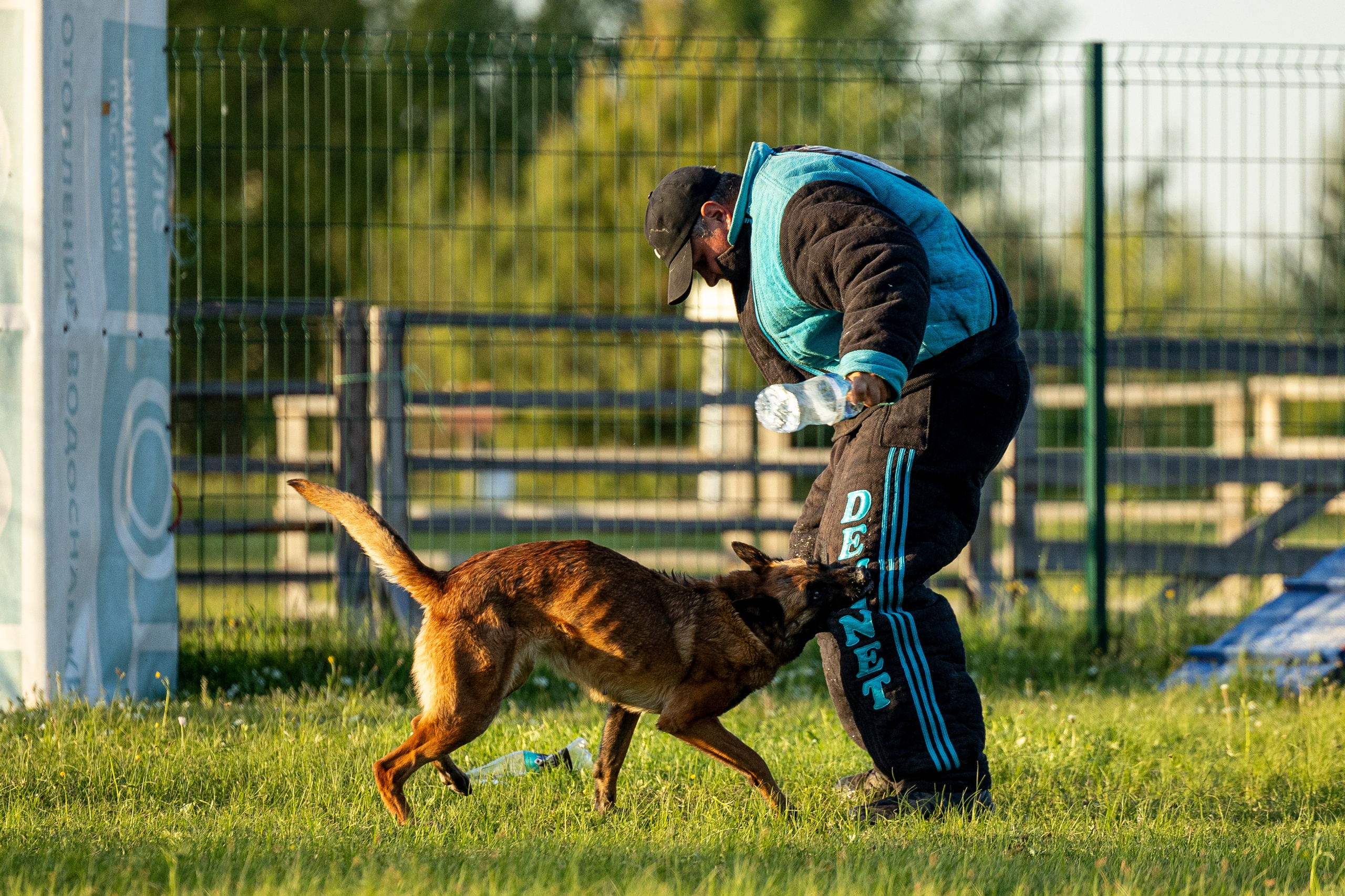 Испытания по мондьорингу в Нижнем Новгороде. Фотограф-анималист Анна Маринич