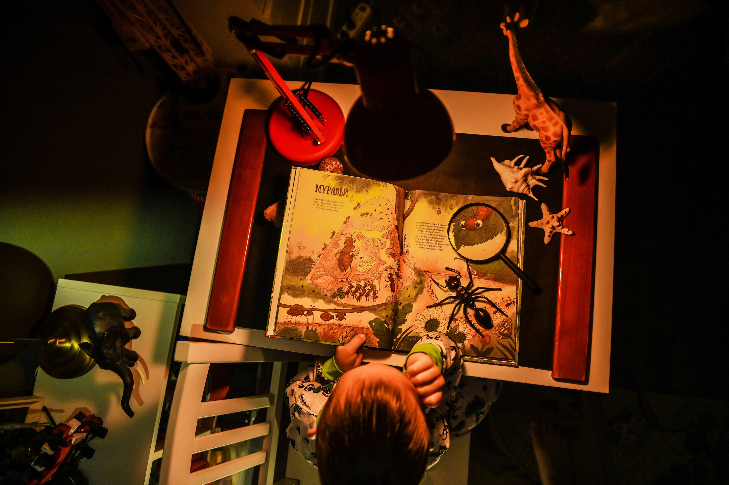 Детская домашняя кабинет натуралиста. Свадебный, семейный, детский, контент фотограф в Омске Максим Ильин