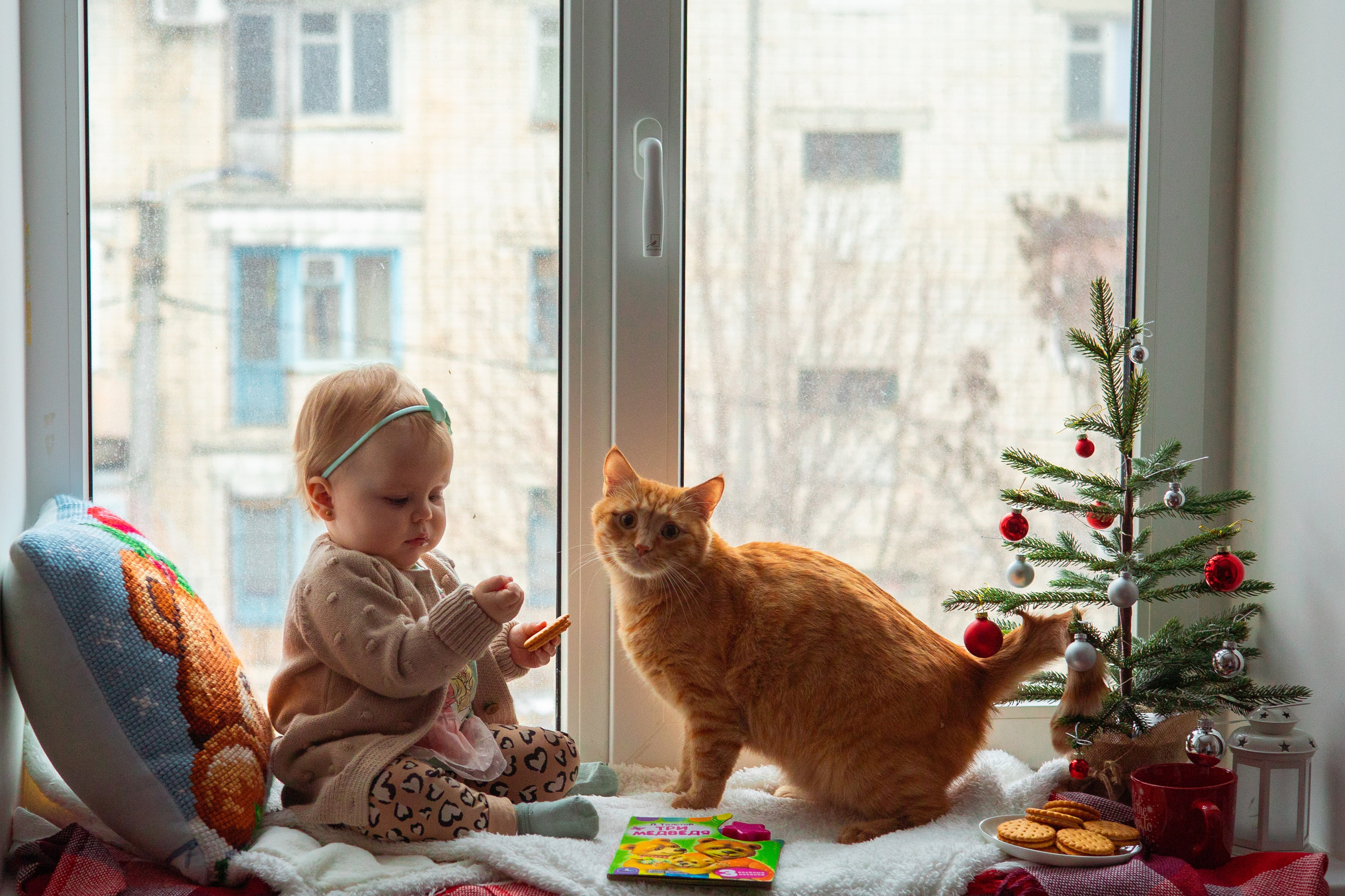 Новогоднее окно. Семейный и детский фотограф в Михайловке Татьяна Лестьева