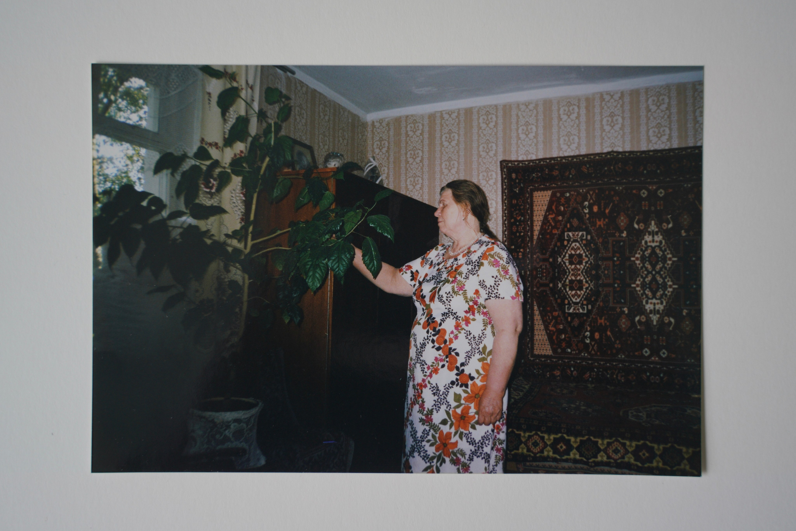 Архивные фото квартира 59. Портретный и репортажный фотограф Наталья Горобец