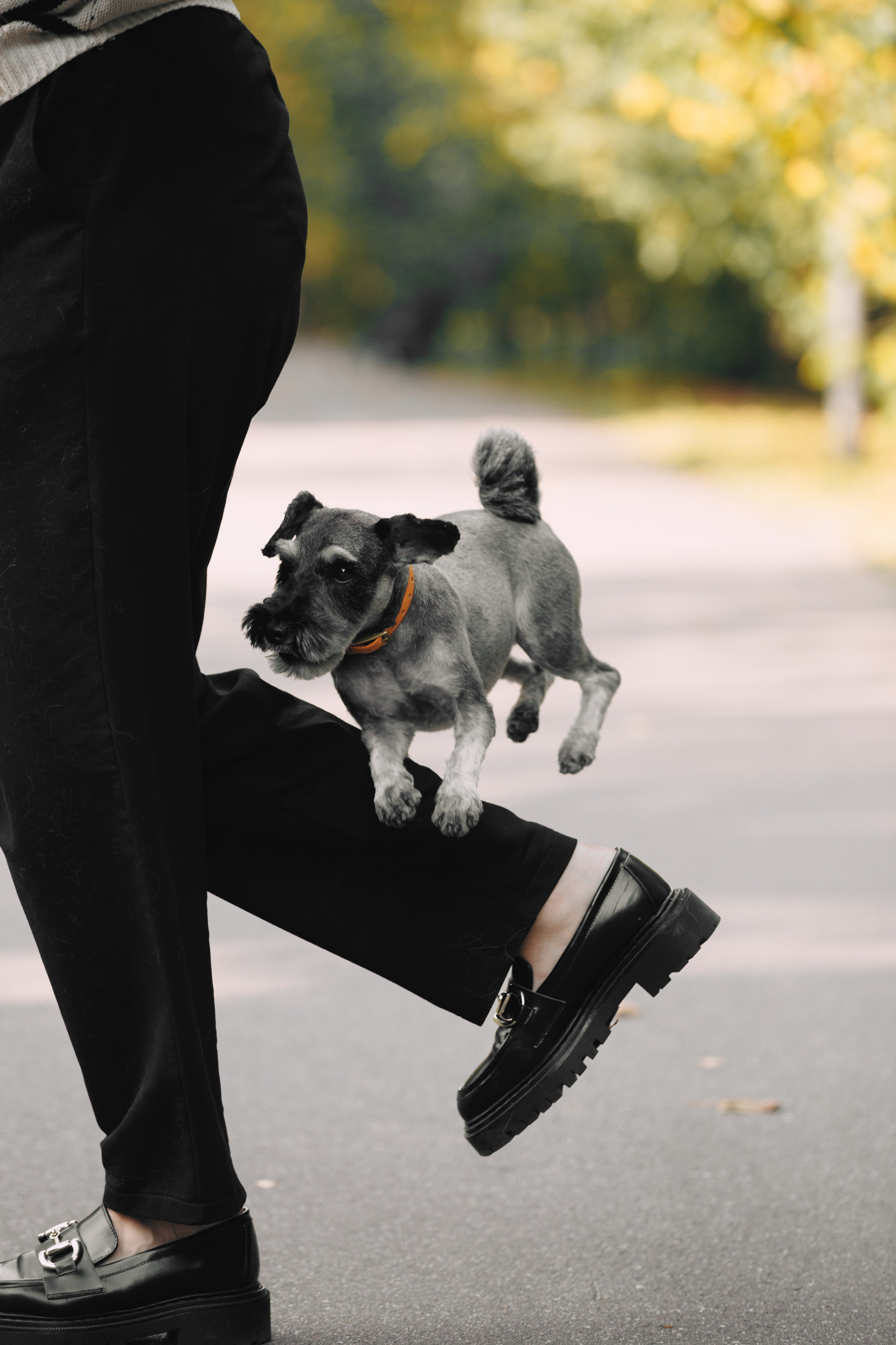 Оля и компания. Фотограф анималист Кристина Карпова, Москва