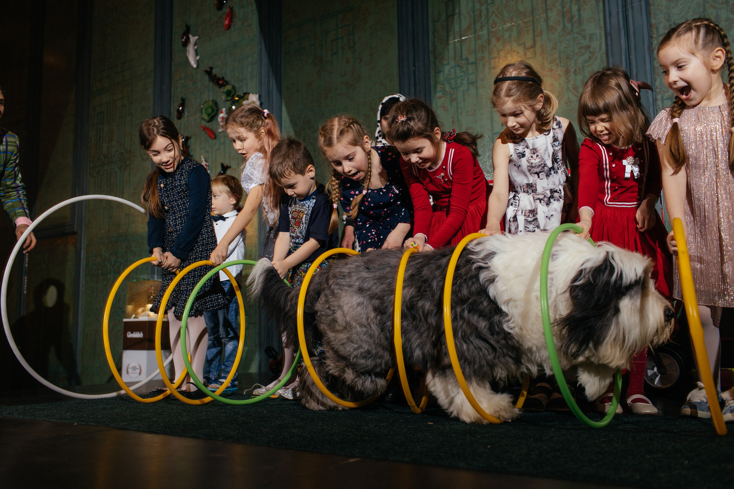 Алине 7 лет. Свадебный и семейный фотограф