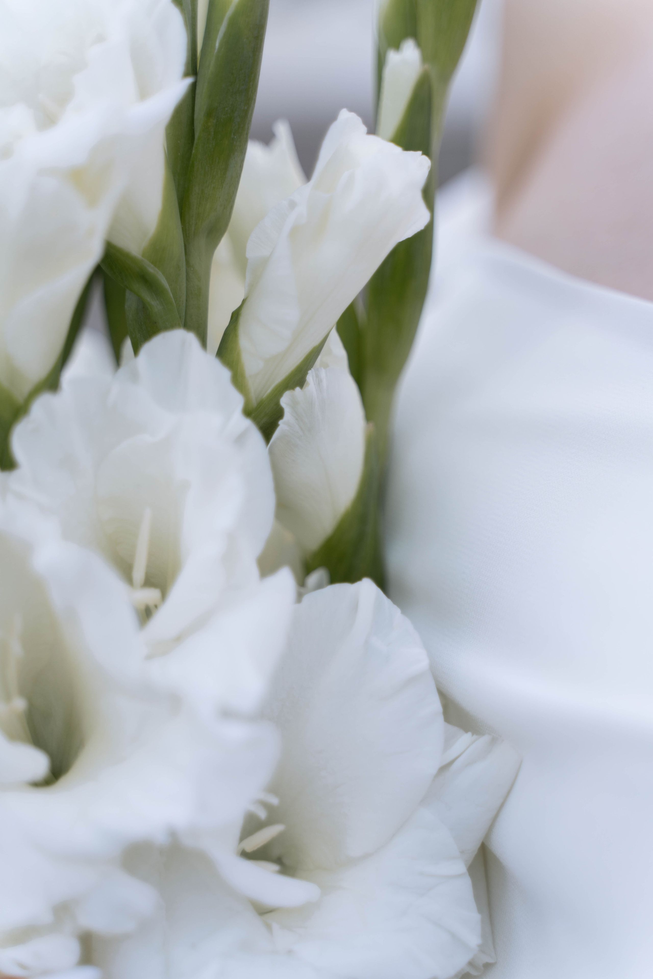 Свадебная фотосессия в Санкт-Петербурге. Свадебный фотограф в Краснодаре и Санкт-Петербурге Евгения Алексеева