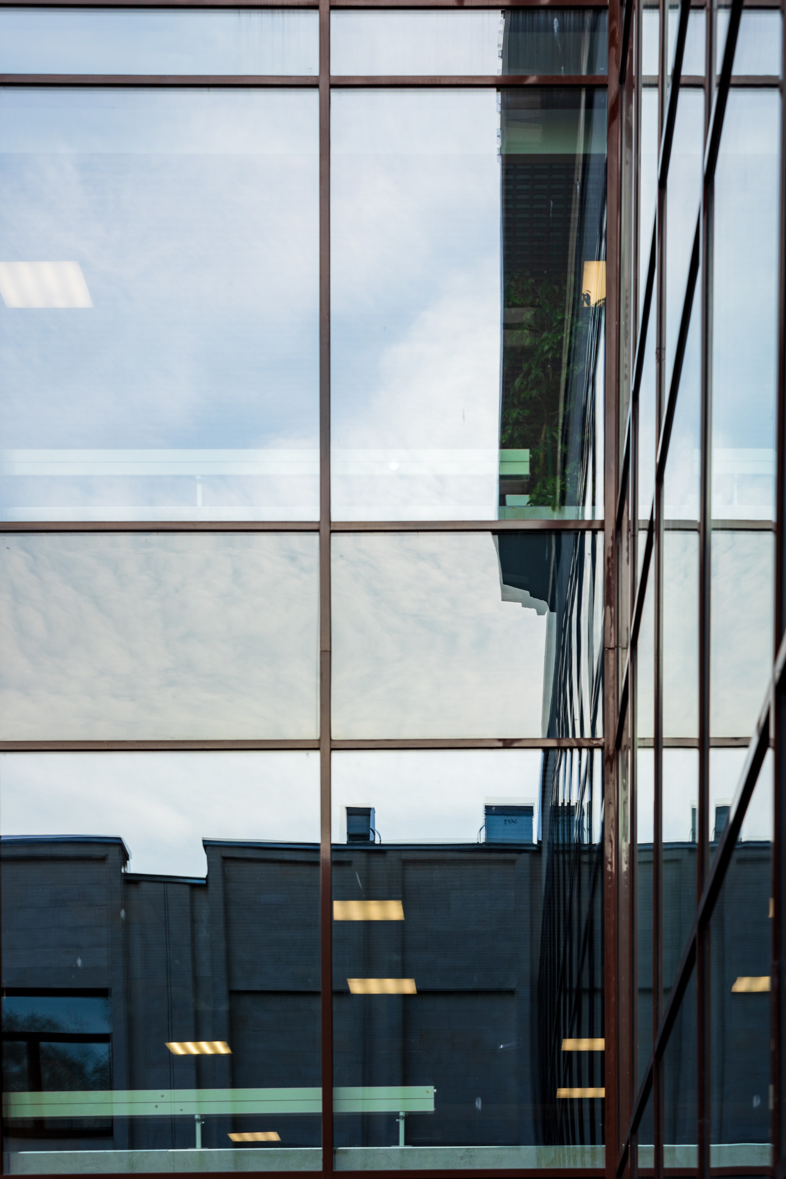 Виды Академии. Фотограф в Москве Даша Зуева