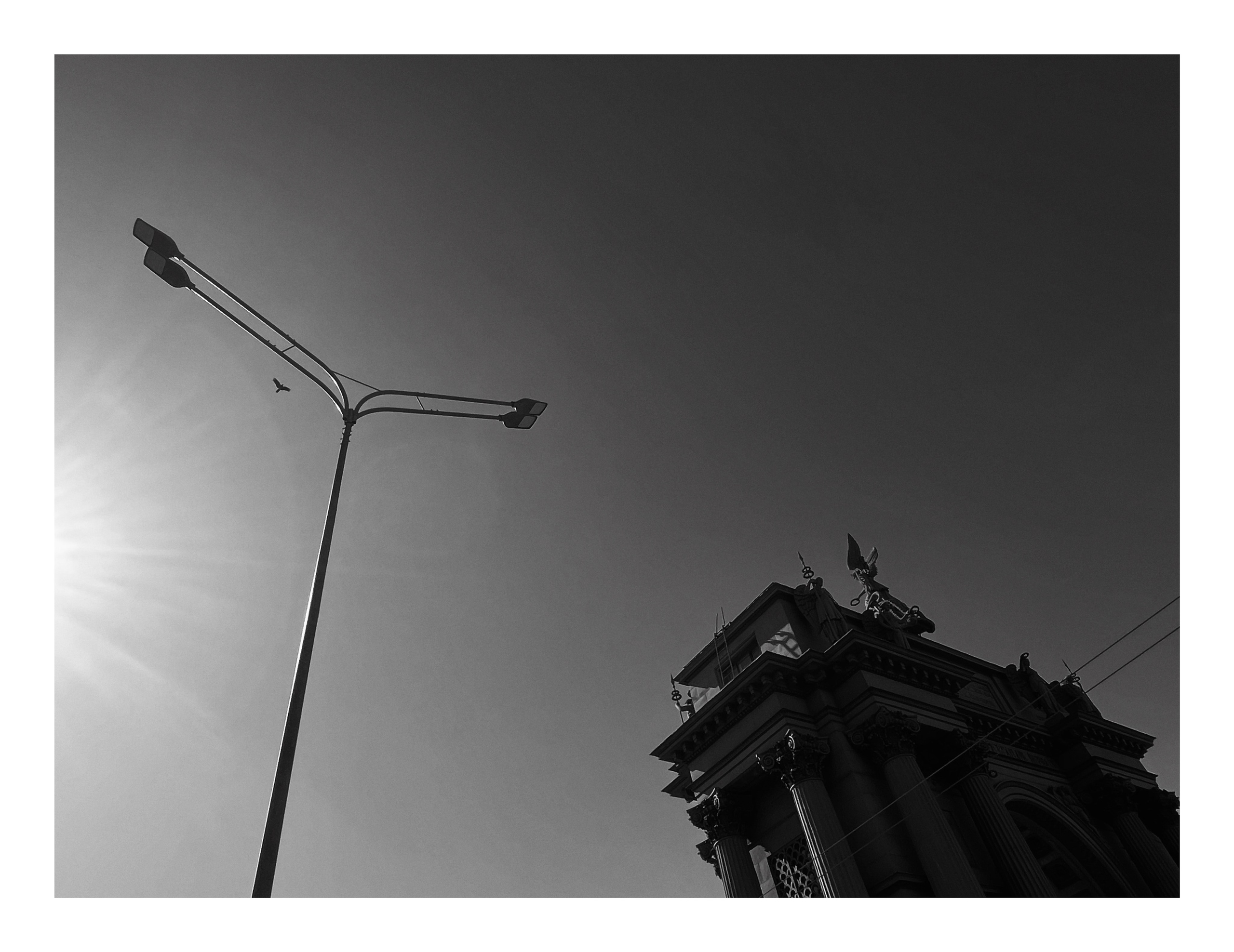 Bec. Шмитов Егор