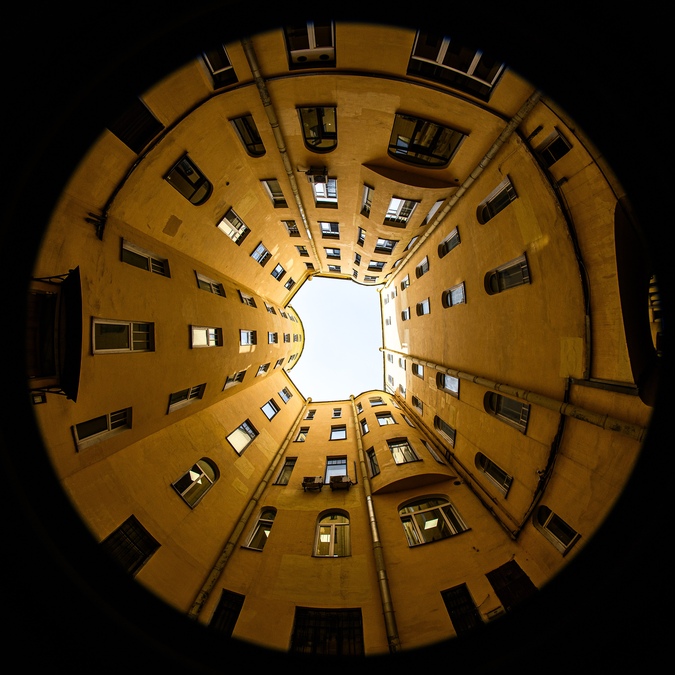 Проспект Добролюбова, 19