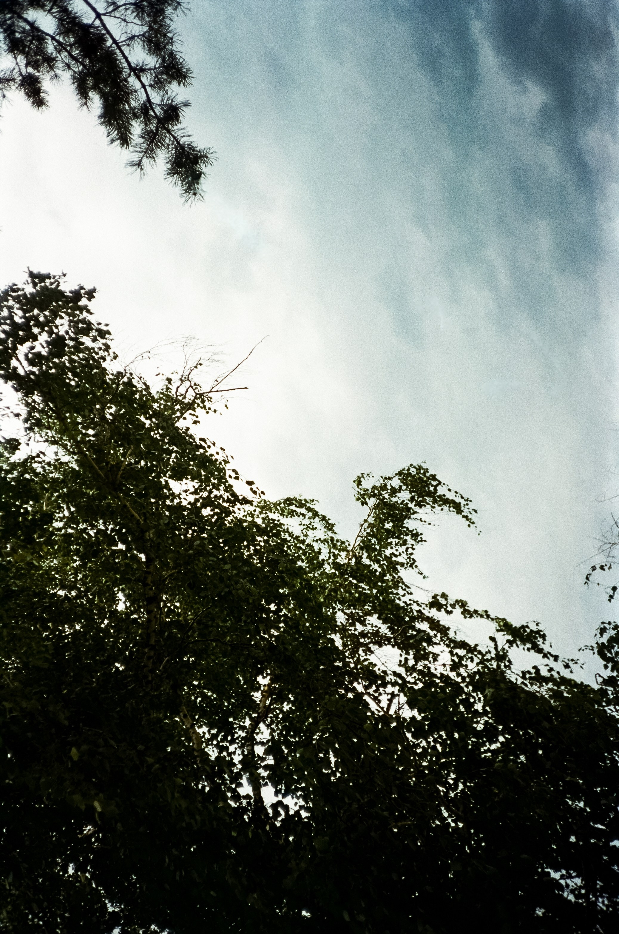 Зубы Дракона. Подвесной мост, скалы и Катунь. Фотограф-документалист Мария Осокина