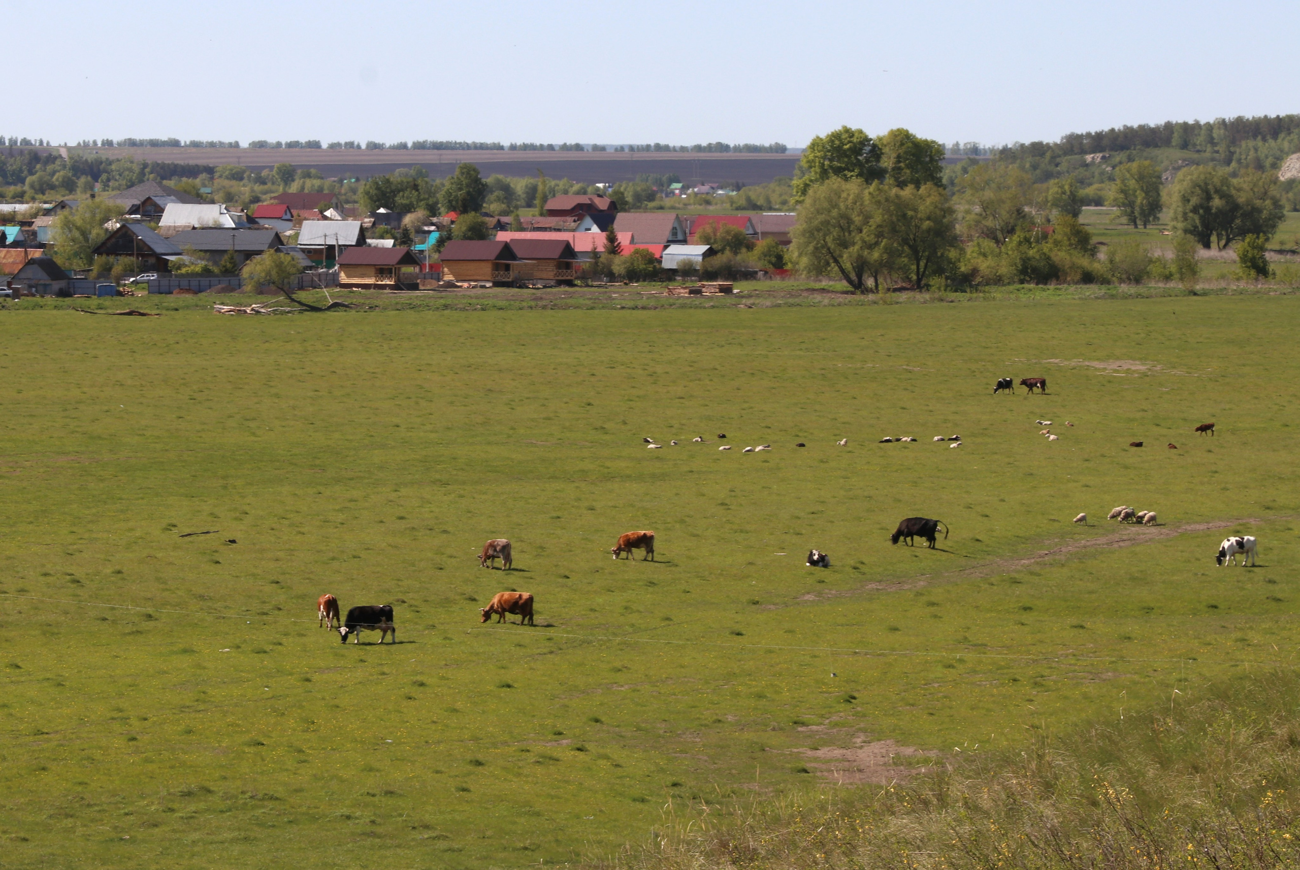 Велопоход Уфа — Мелеуз. Май 2024. Путешественник-фотограф из Санкт-Петербурга Татьяна Свистулина