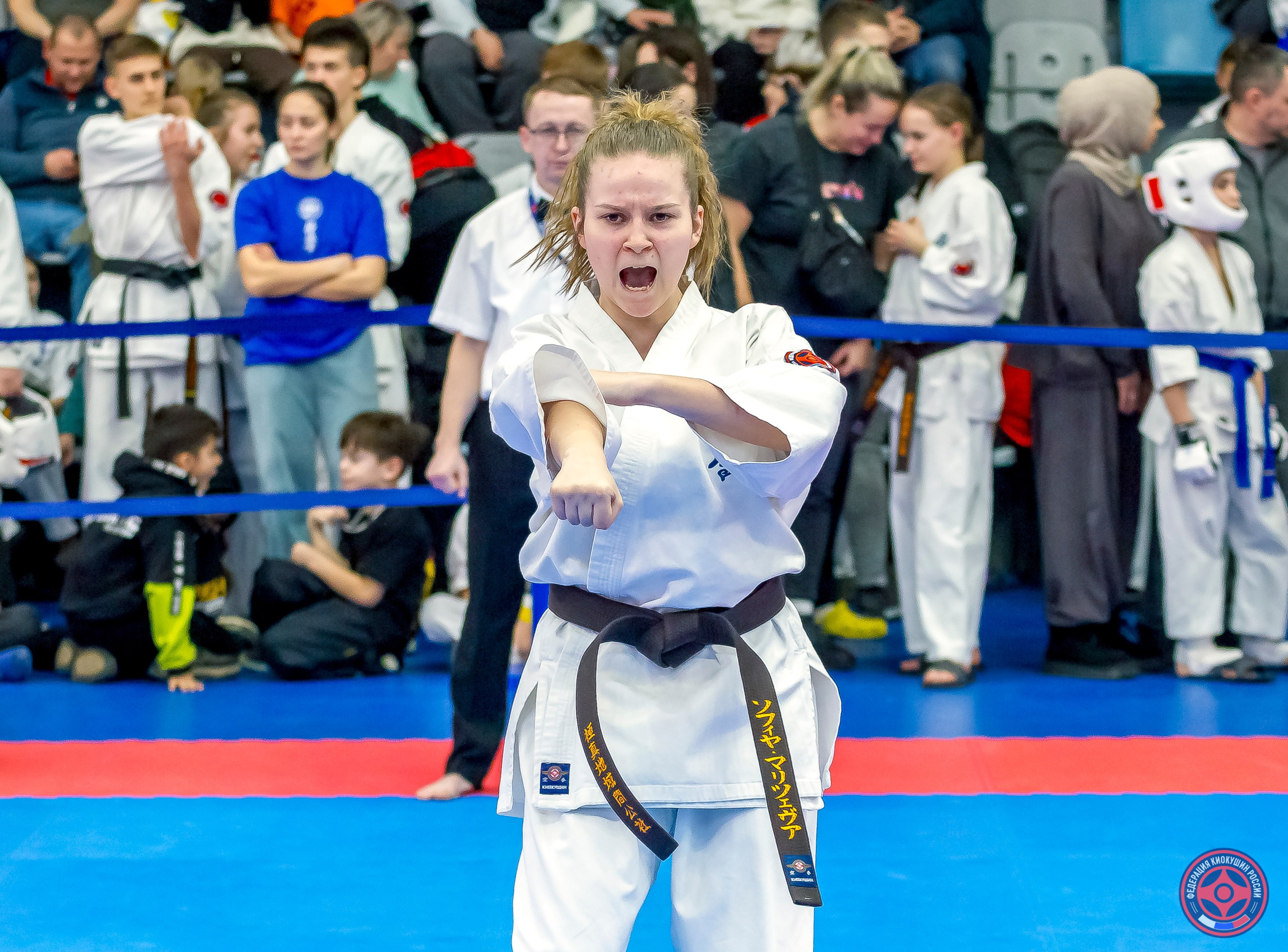 Международный турнир по киокушин «Открытый кубок Seiken». Репортажная съемка в Москве и области. Анималистика