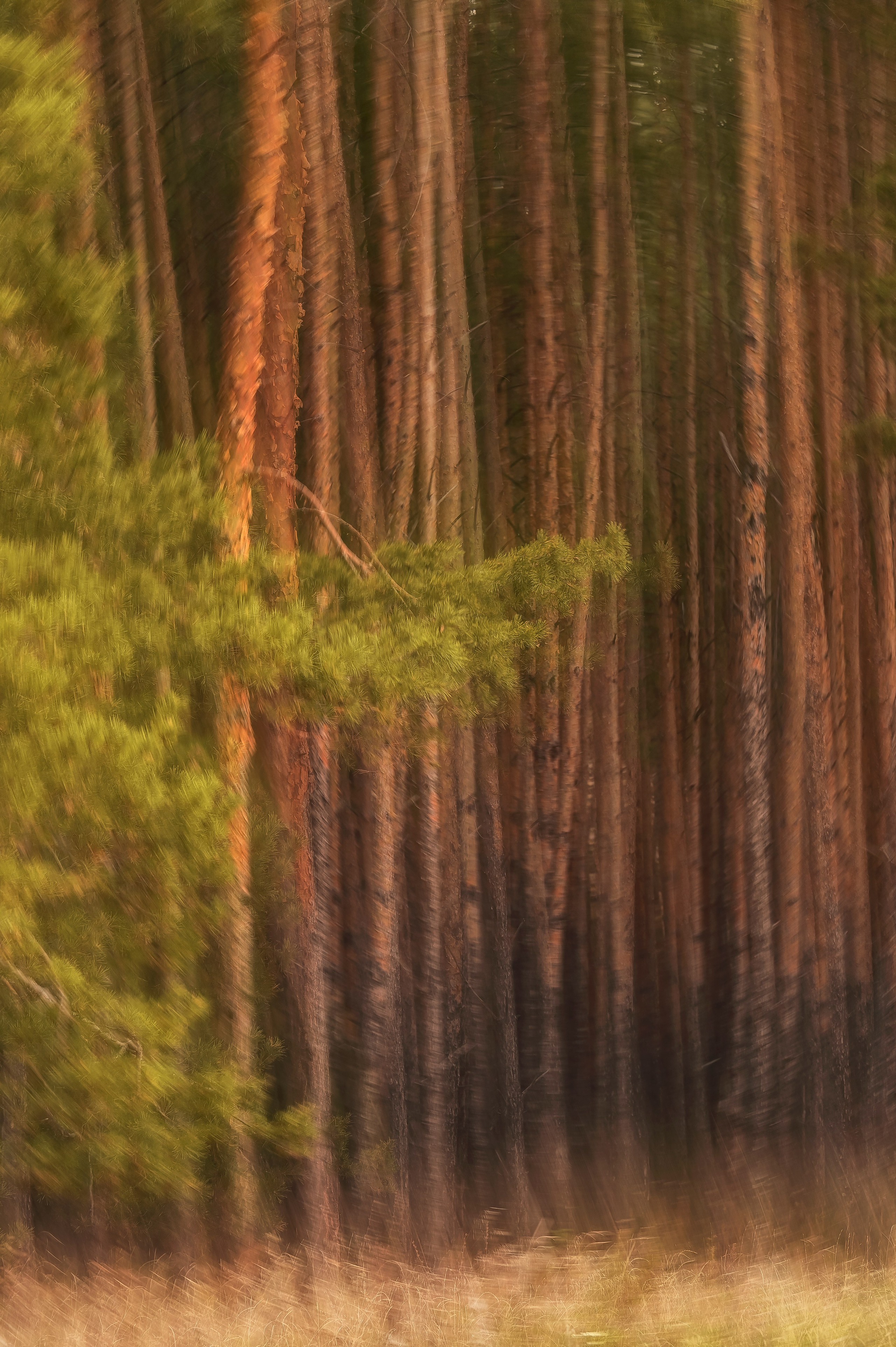 Курганская область. Портретный фотограф в Челябинске Катерина Руди