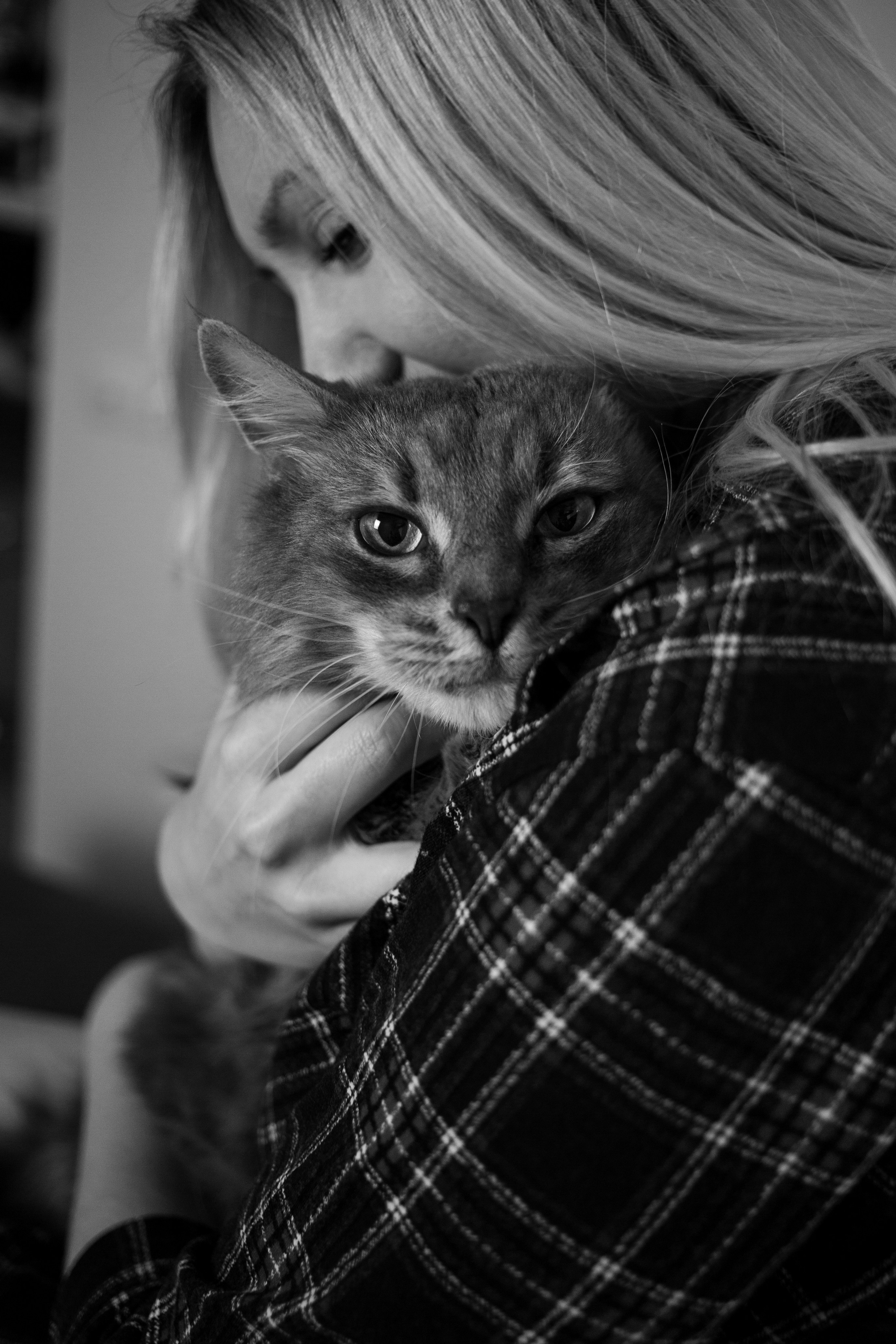 Юля (домашняя съемка). Женский портретный фотограф в Москве Анастасия Карпова