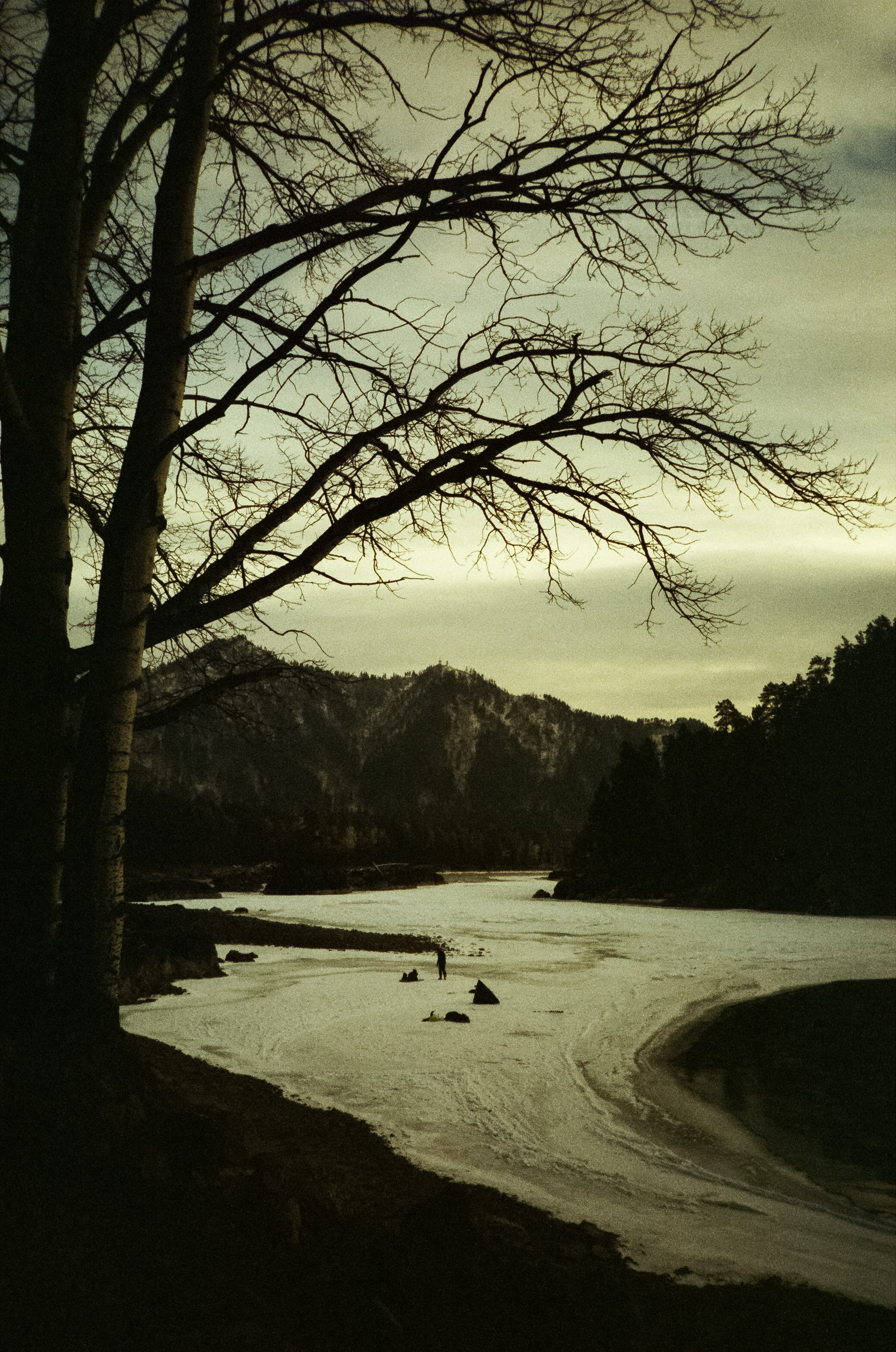 Дорога в сторону Сада Пионов, база Сила Алтая / 15 — 16 декабря 2023 г