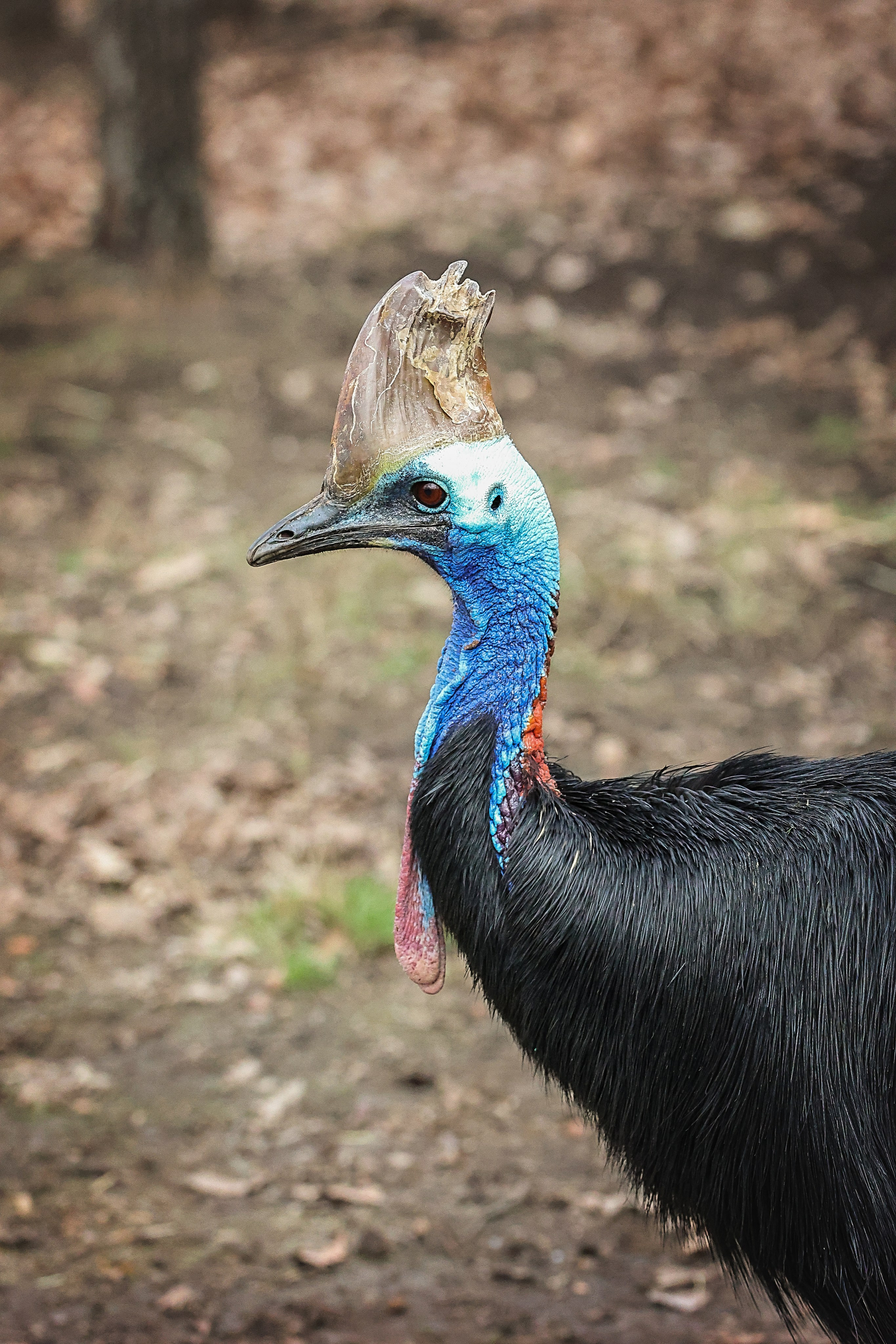 Зоопарк Малинки. Фотограф-АниМалист Анна Абрамова
