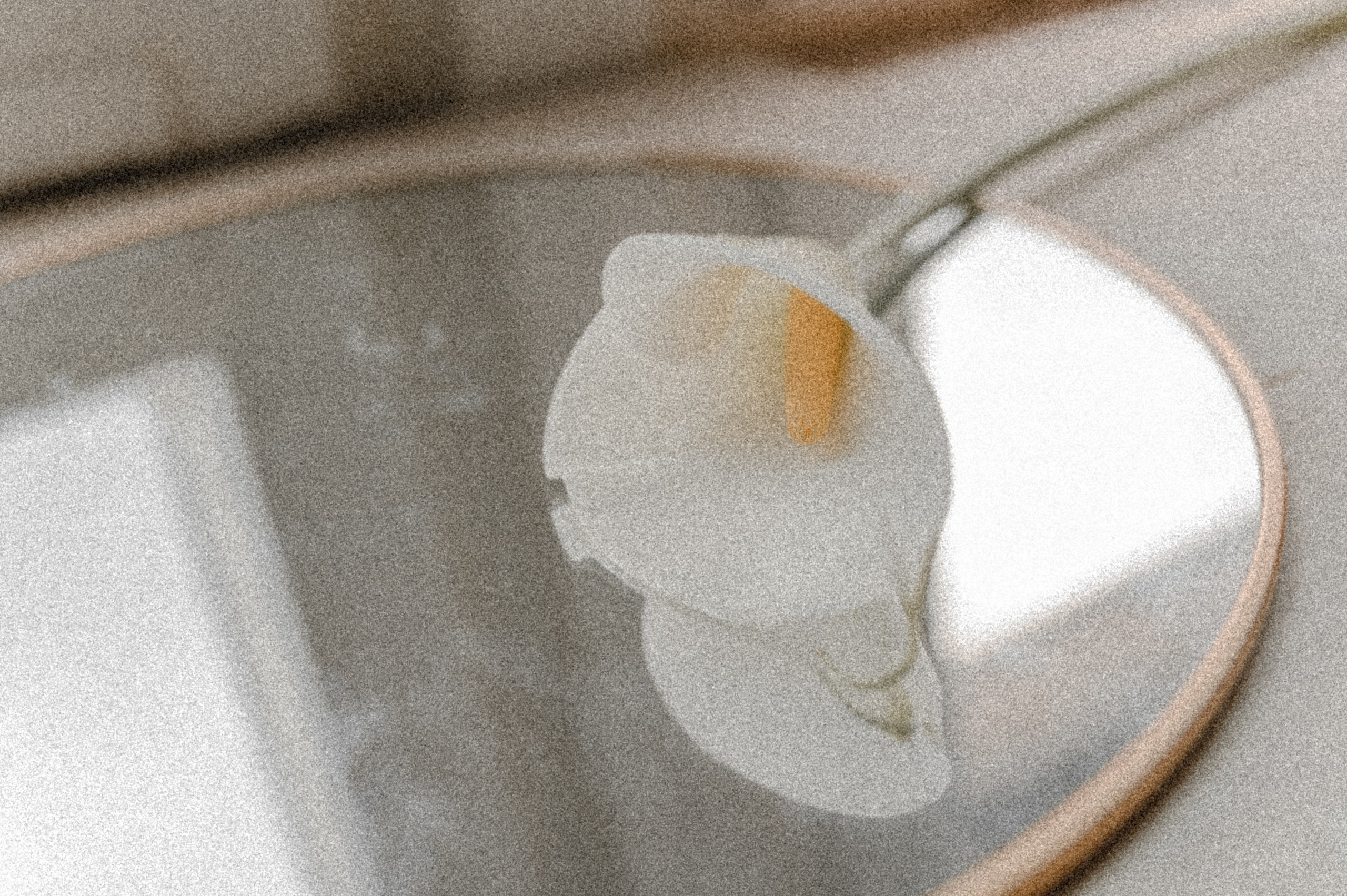 Анна. Семейный и детский фотограф в Туле