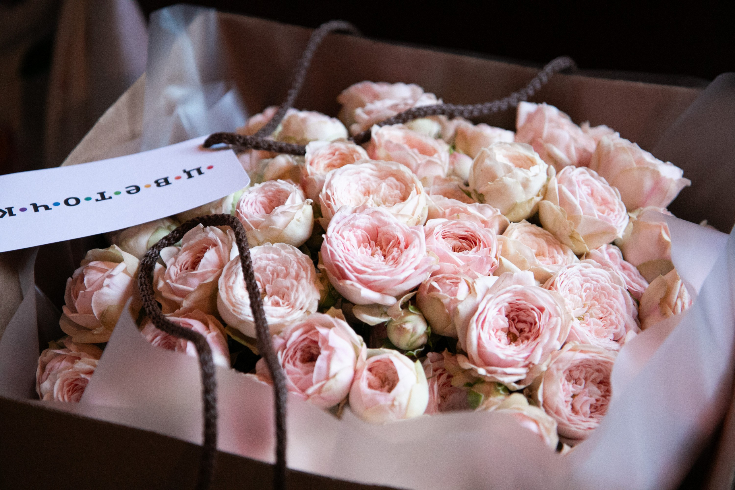 День рождения Ольги. Фотограф Диана Иремадзе