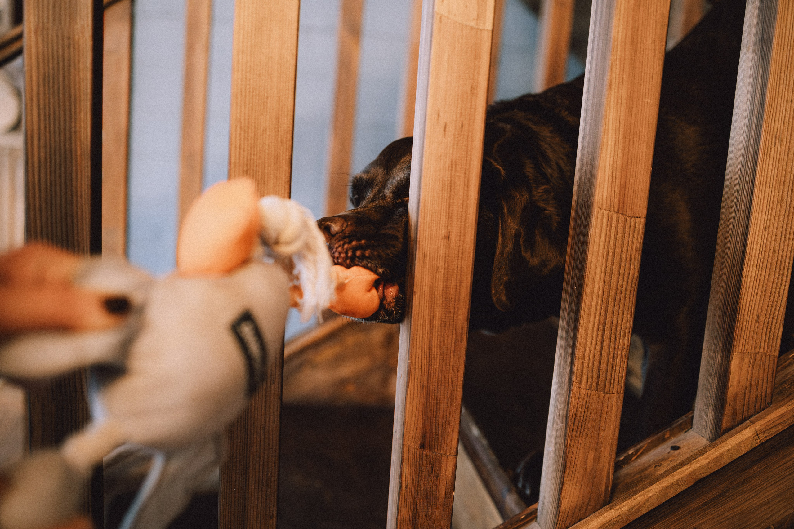 Ума, Берта и их семья