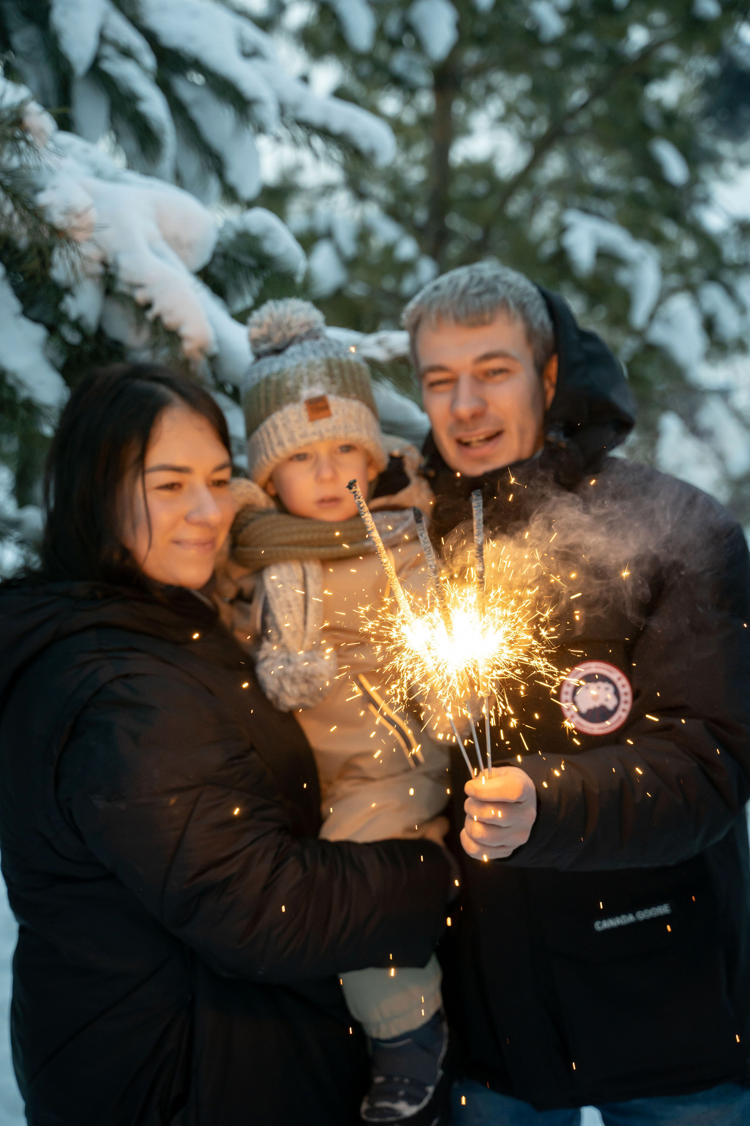 Зимняя прогулка. Главная