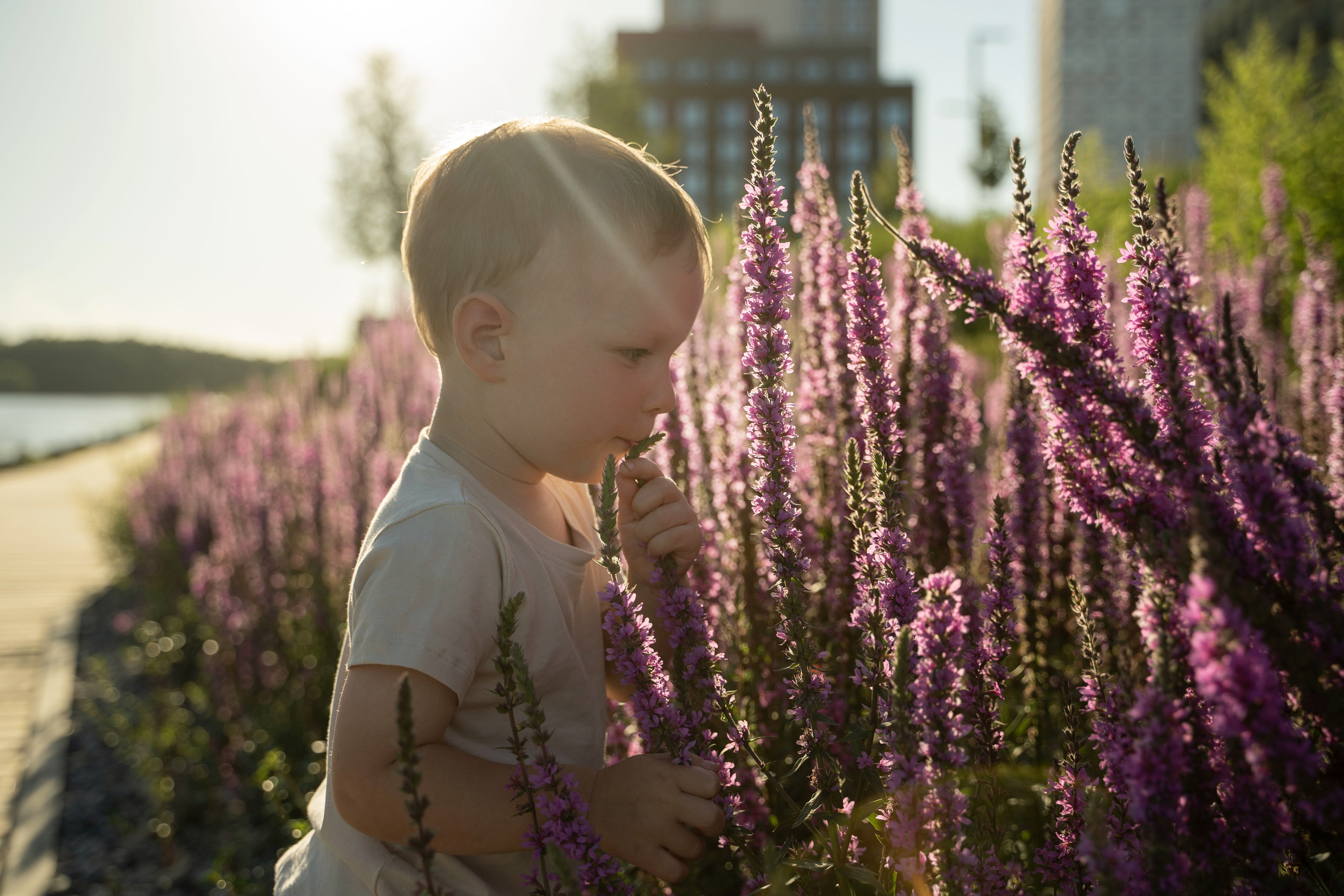 Семейная прогулка. Главная