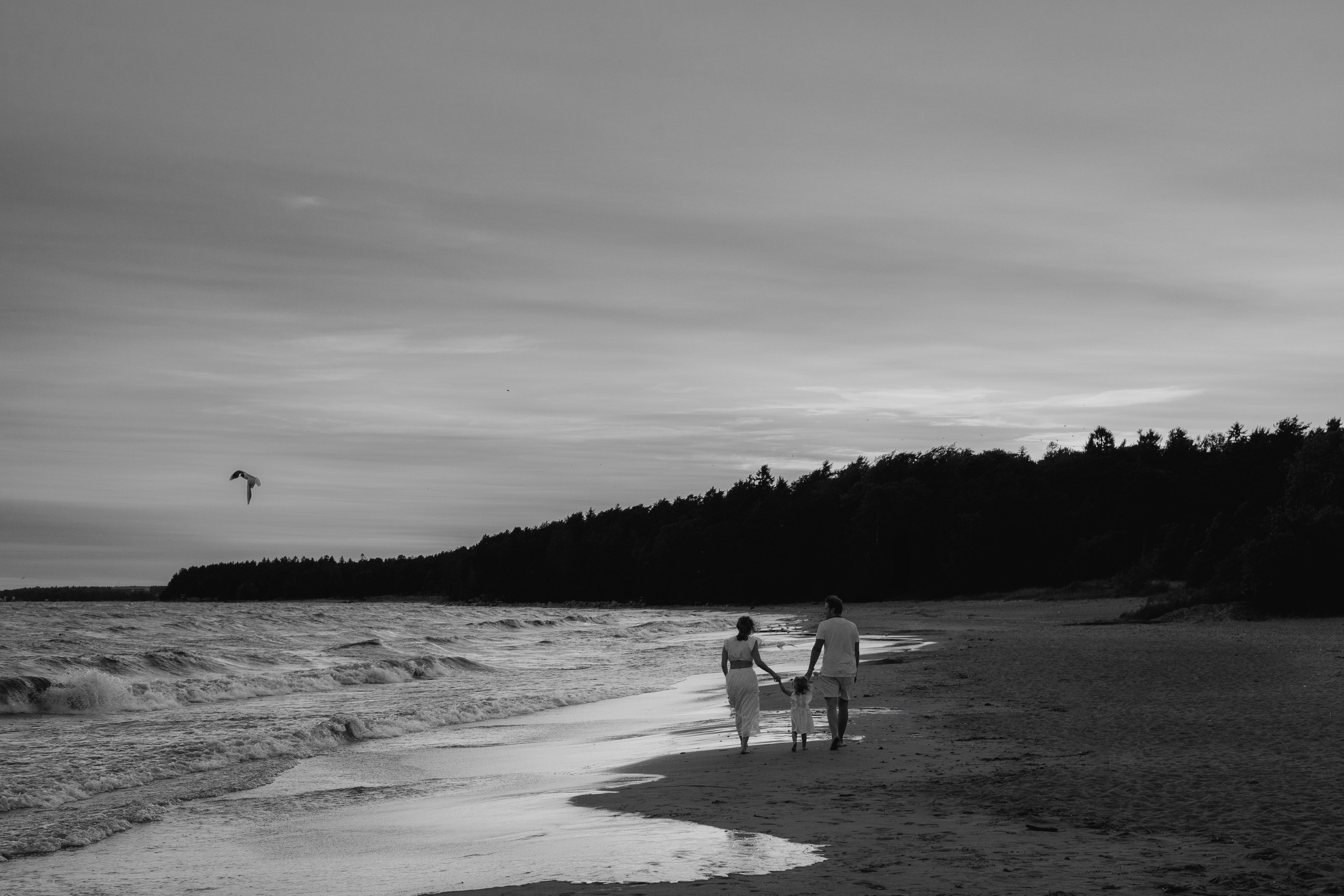 Вова+Алина+София. Photo & Video production