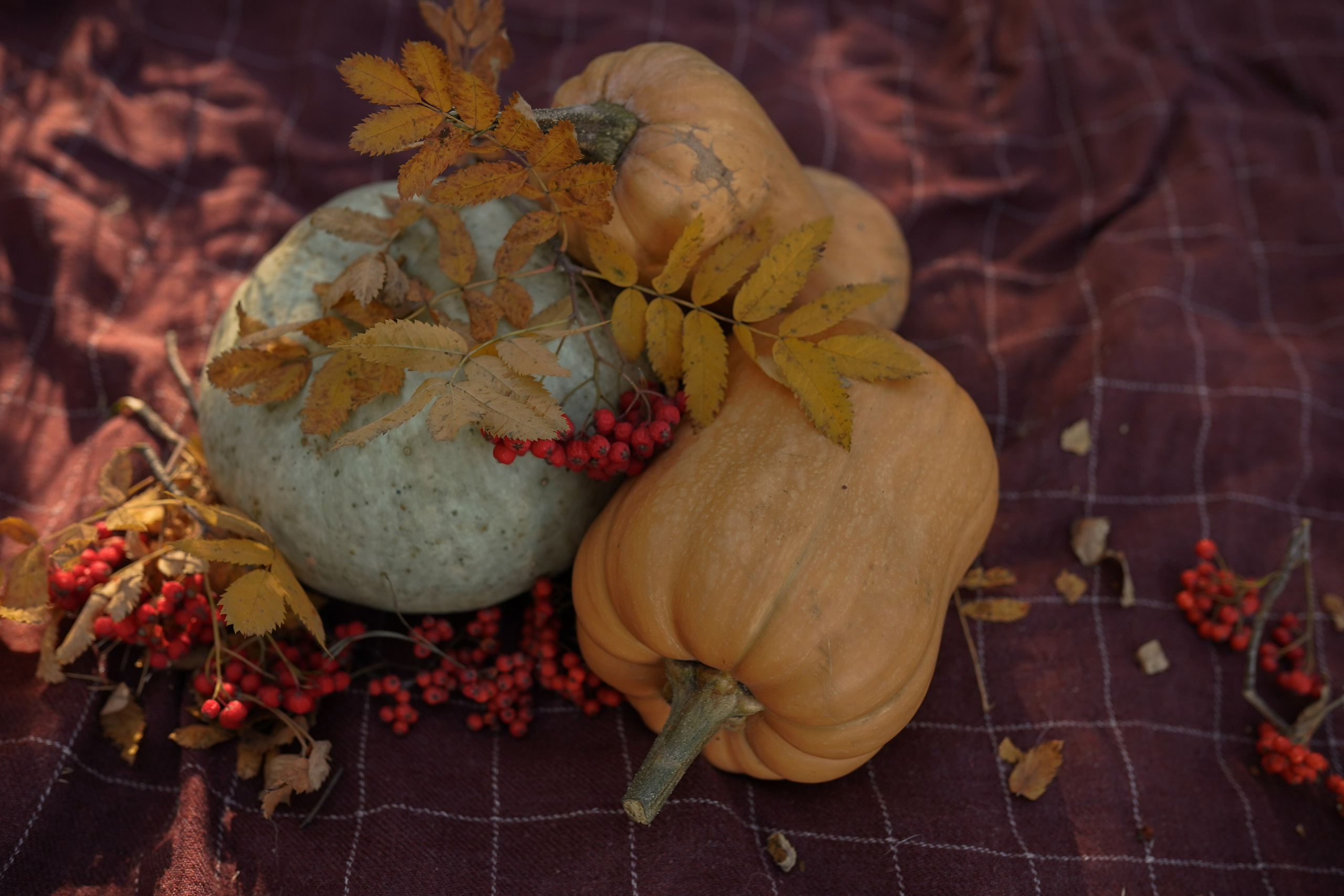 Осознанность