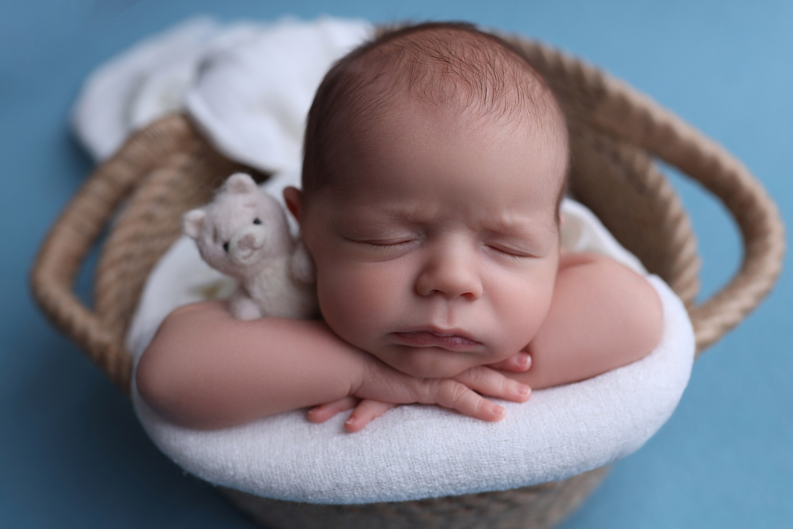 Newborn мальчики. Фотограф новорожденных Модяева Ирина