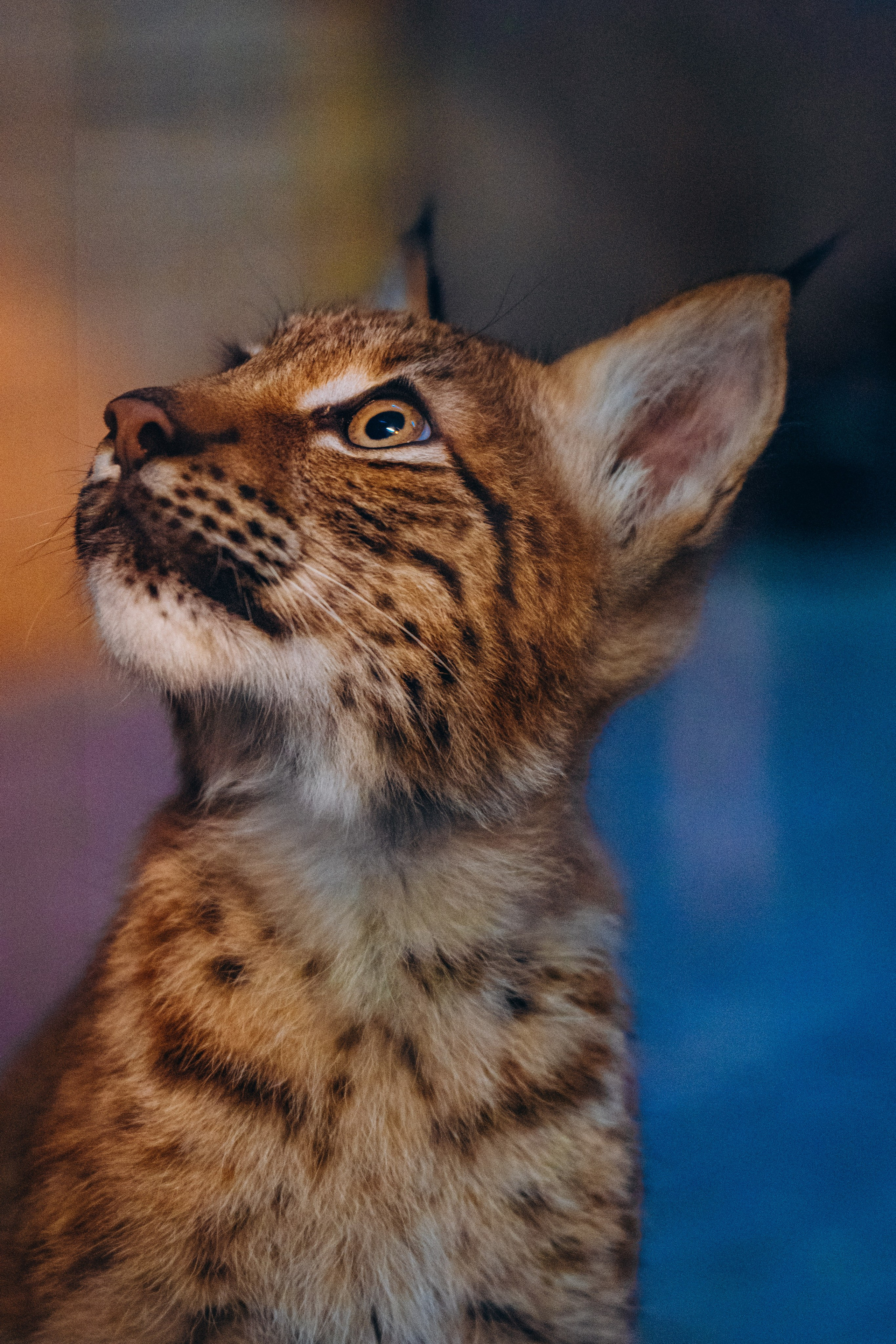 СЕВЕР. Event фотограф Степанова Александра