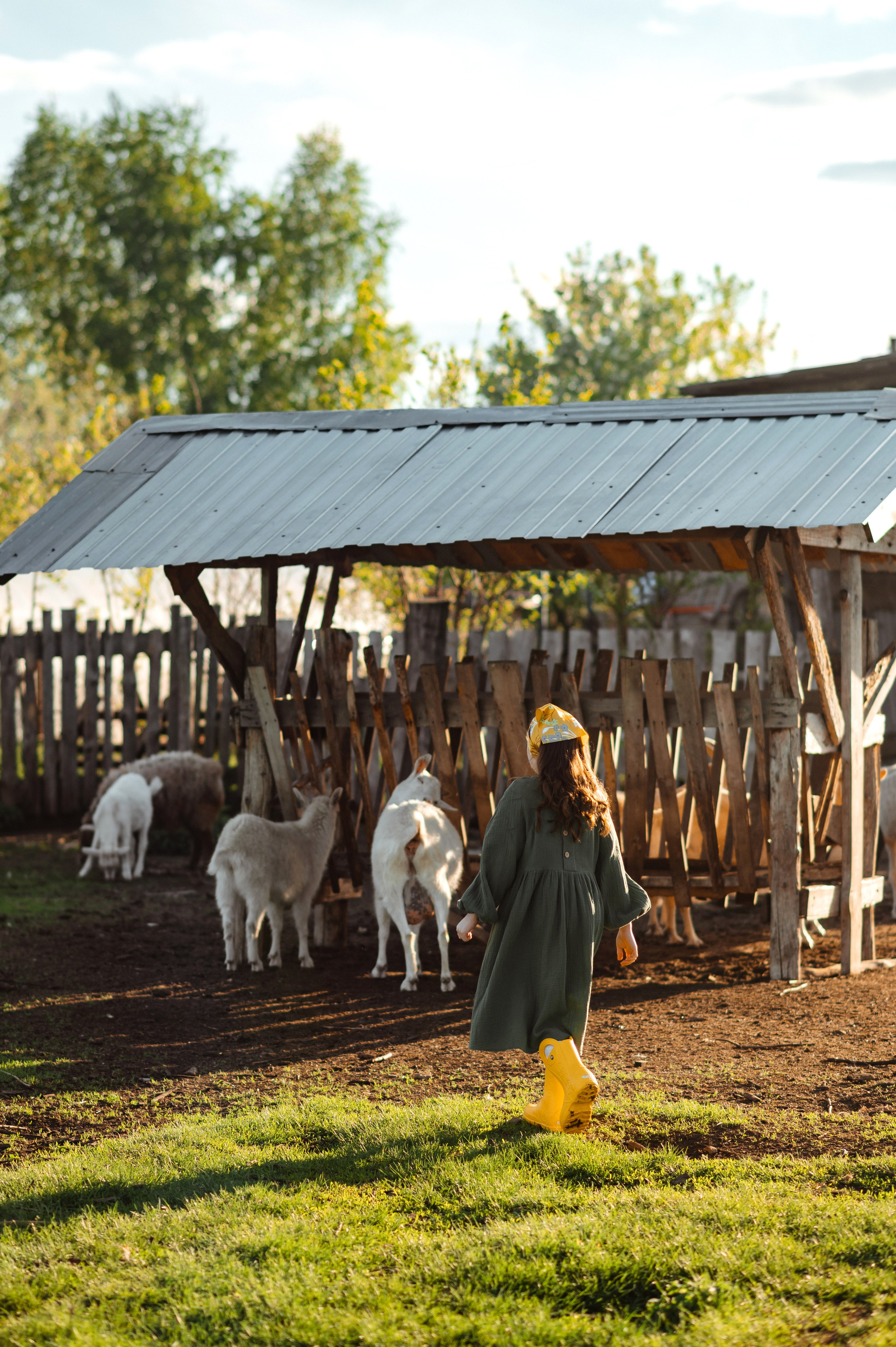 О любви к животным. Свадебный и семейный Фотограф в Пензе Татьяна Лапоногова