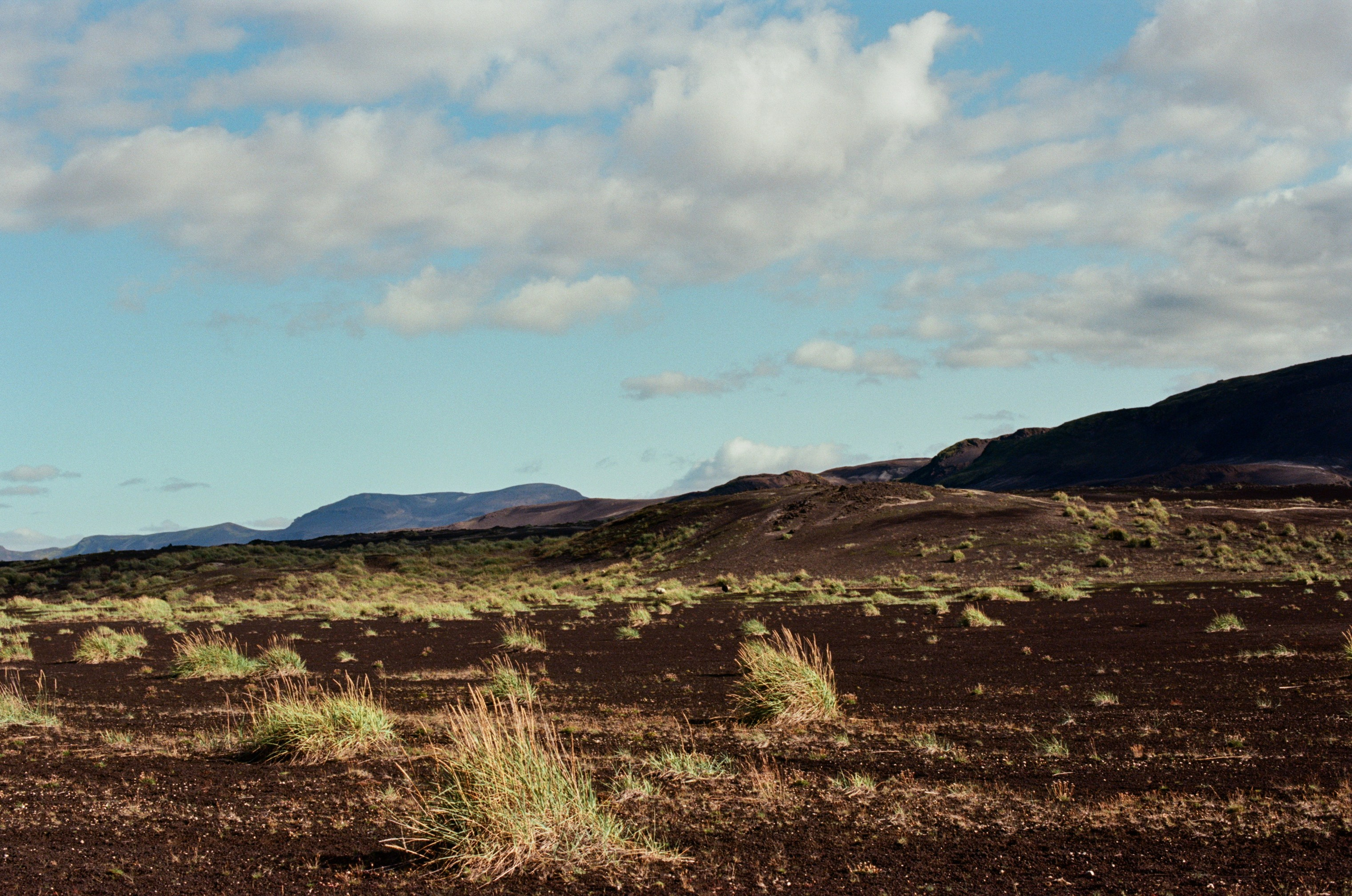 Visitor // iceland, f225. EVER EXPOSED