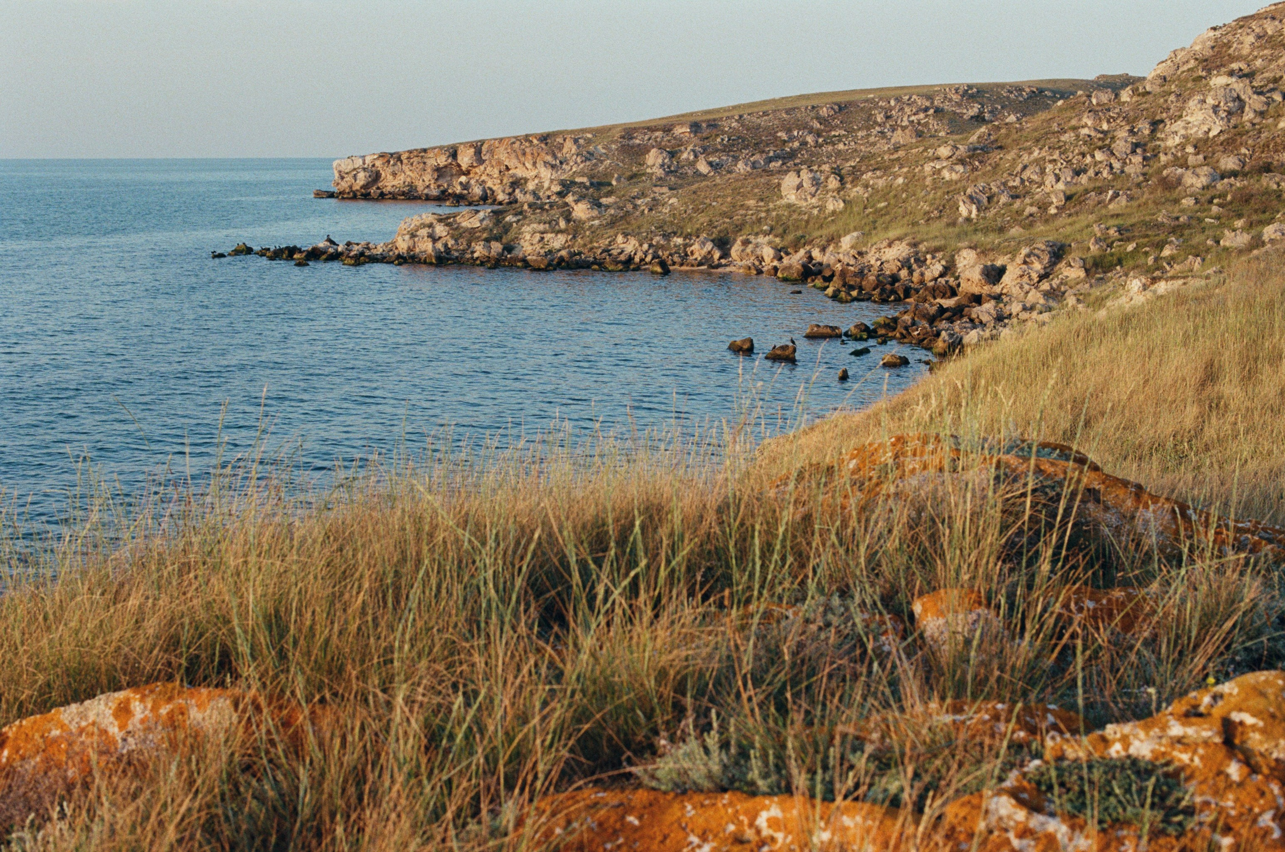 Silent running // ukraine, crimea III. EVER EXPOSED