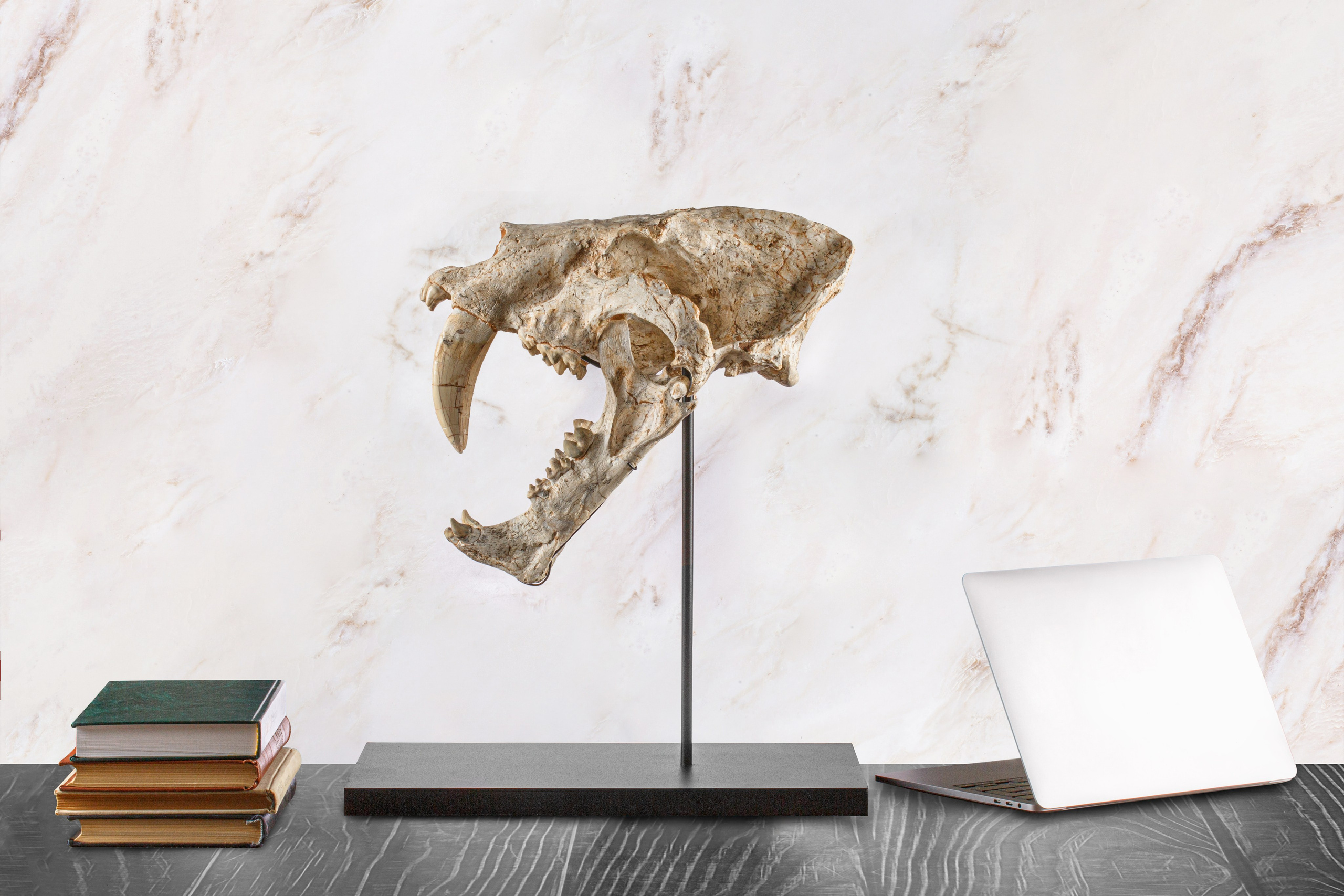 Профессиональная обработка натуральных камней, минералов и ископаемых | Студия SVITHART