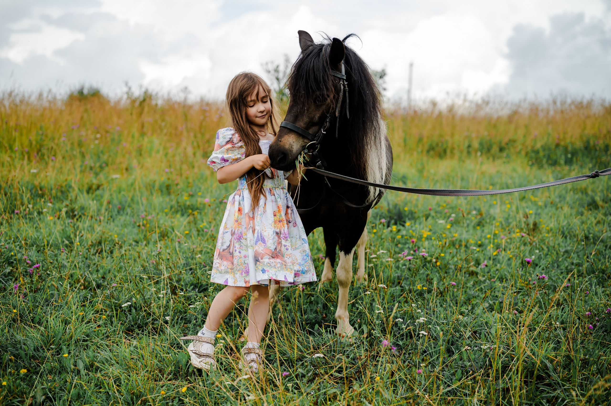 Фотосъемка с пони. Свадебный и семейный фотограф Евгения Кононова
