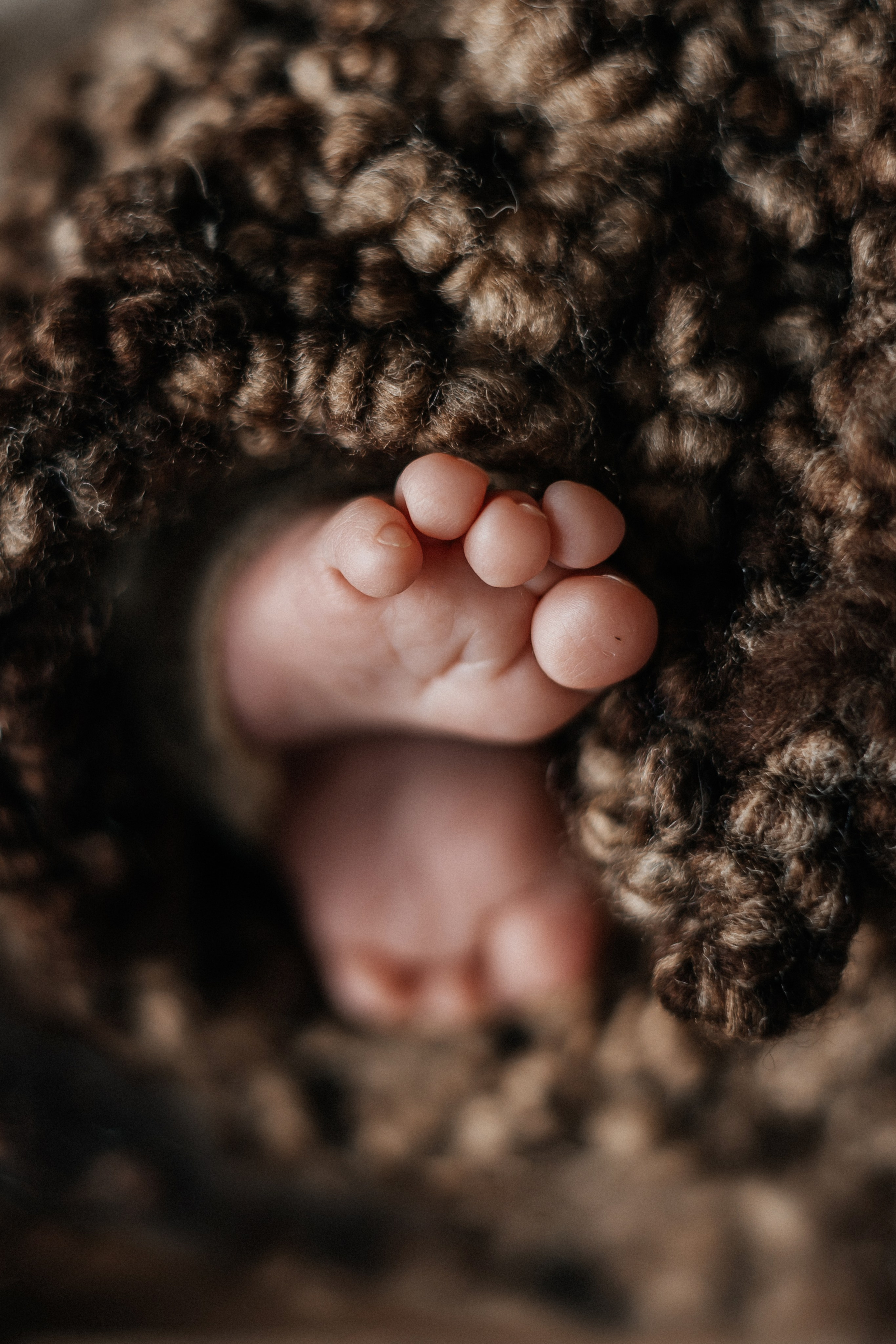 Гриша, пакет «Комфорт». 14 дней. Фотограф новорождённых Екатерина Боброва. Ульяновск