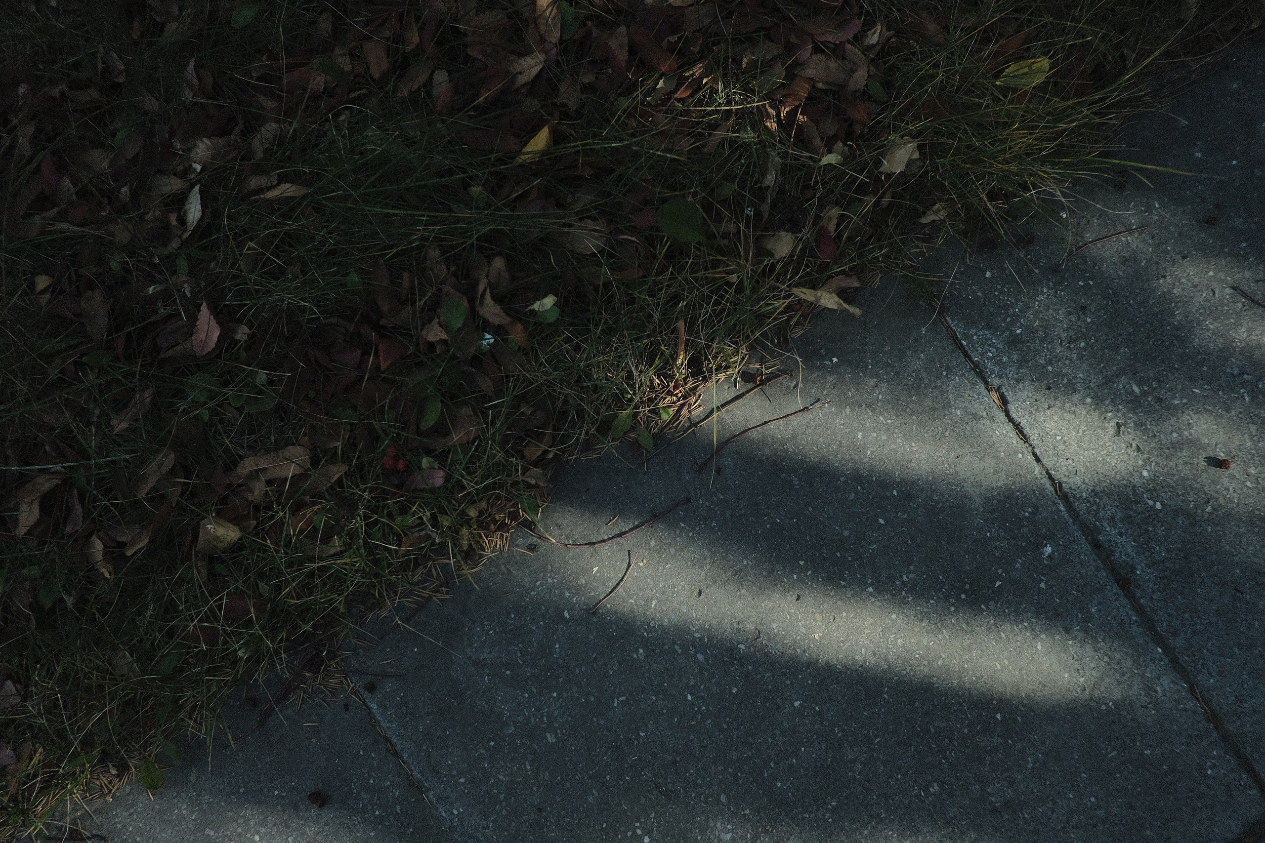 Наблюдения. Семейный фотограф в Новосибирске Артём Кузнецов