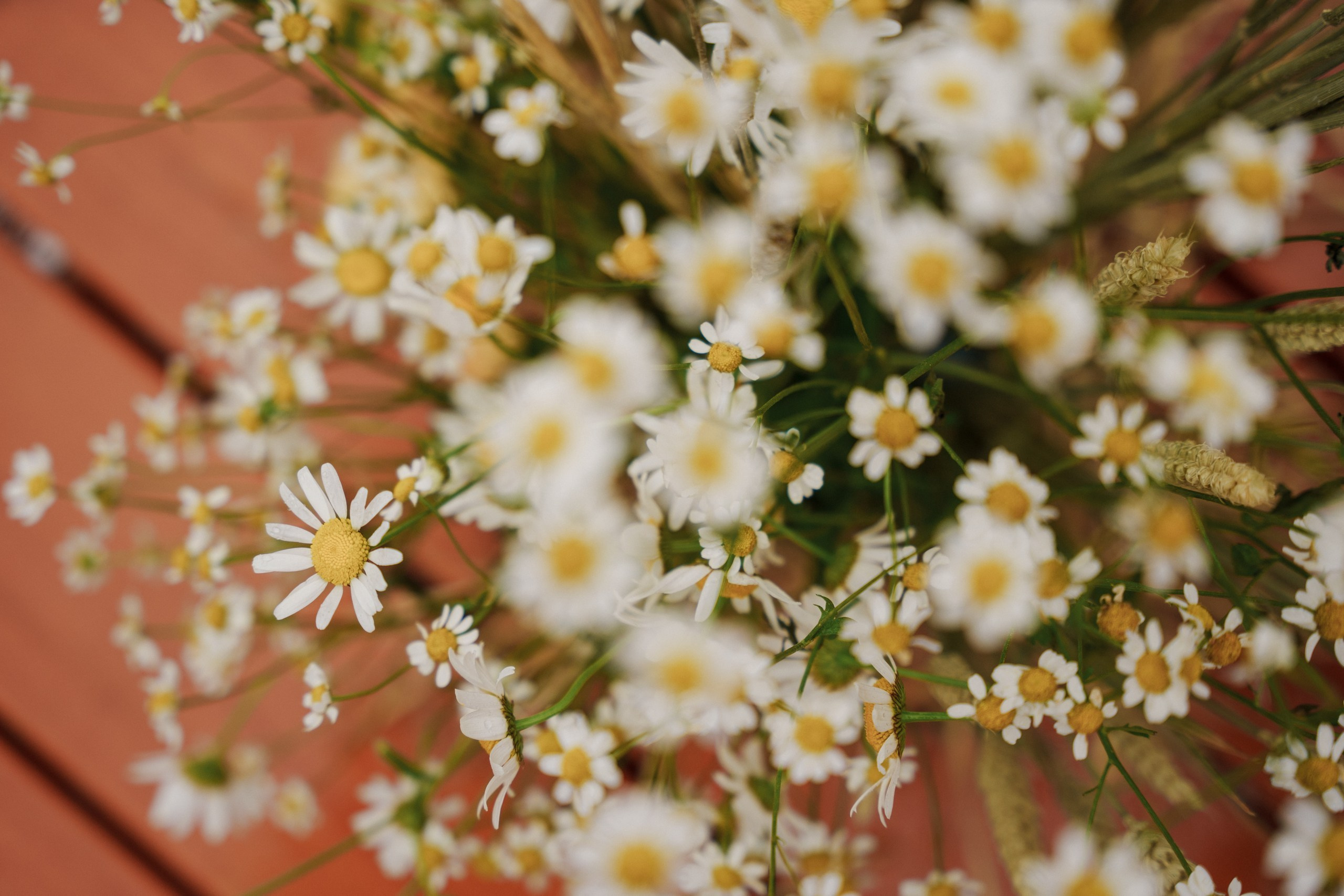 12.07 Юля и Влад. Свадебный организатор Екатеринбург