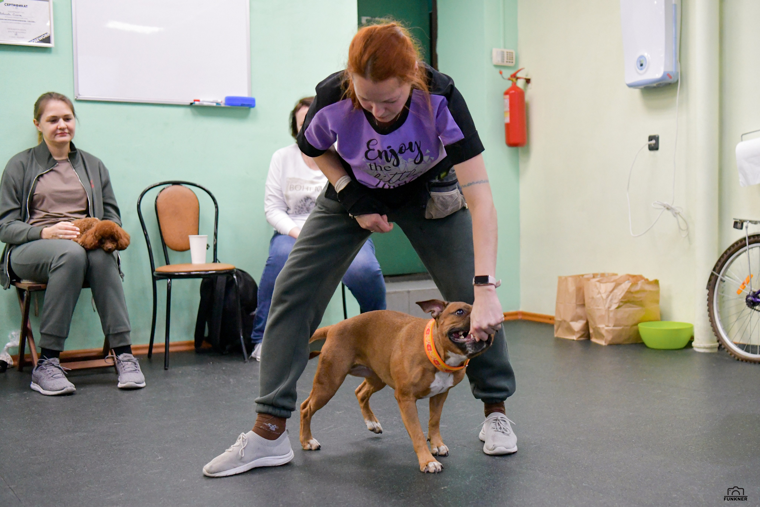 Кинологический клуб «Бодрый хвост». Свой взгляд через объектив