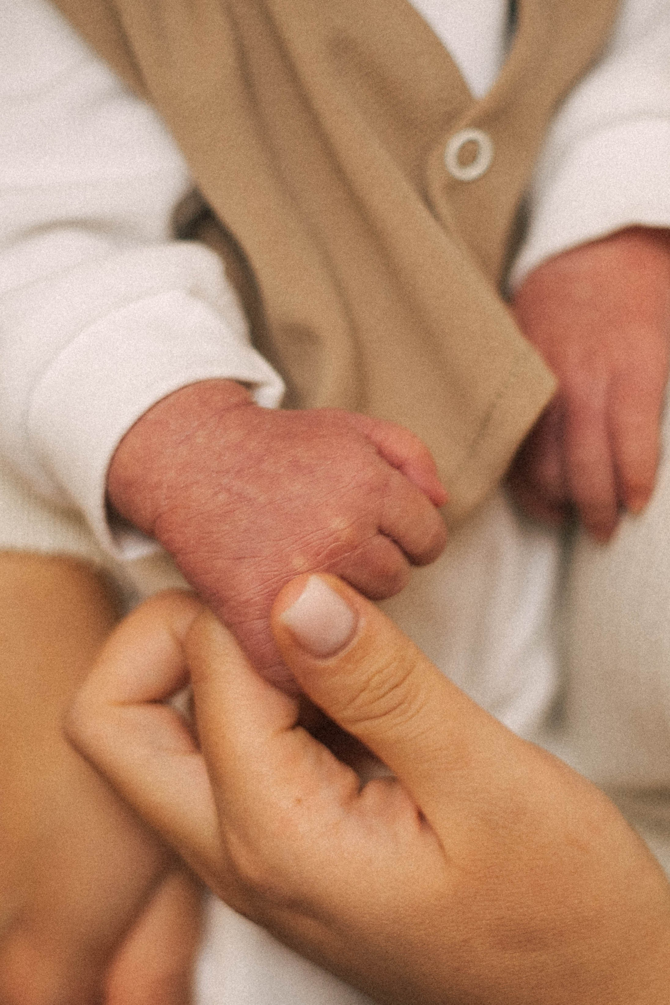 Выписка Сева, Сехран, Мурад, Имран. Семейный фотограф Юлия Котова