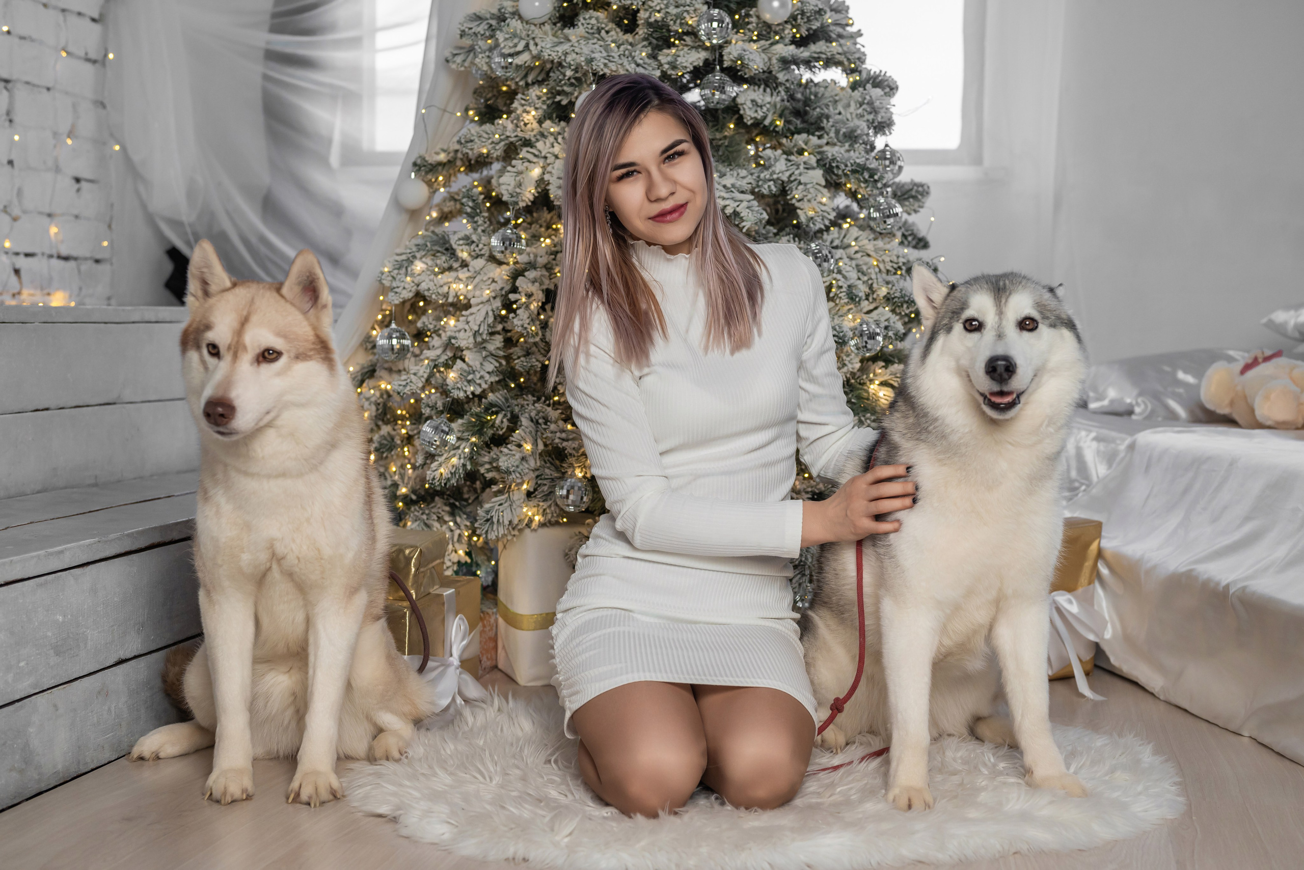 Фотопроект с хаски. Фотограф в городе Салават