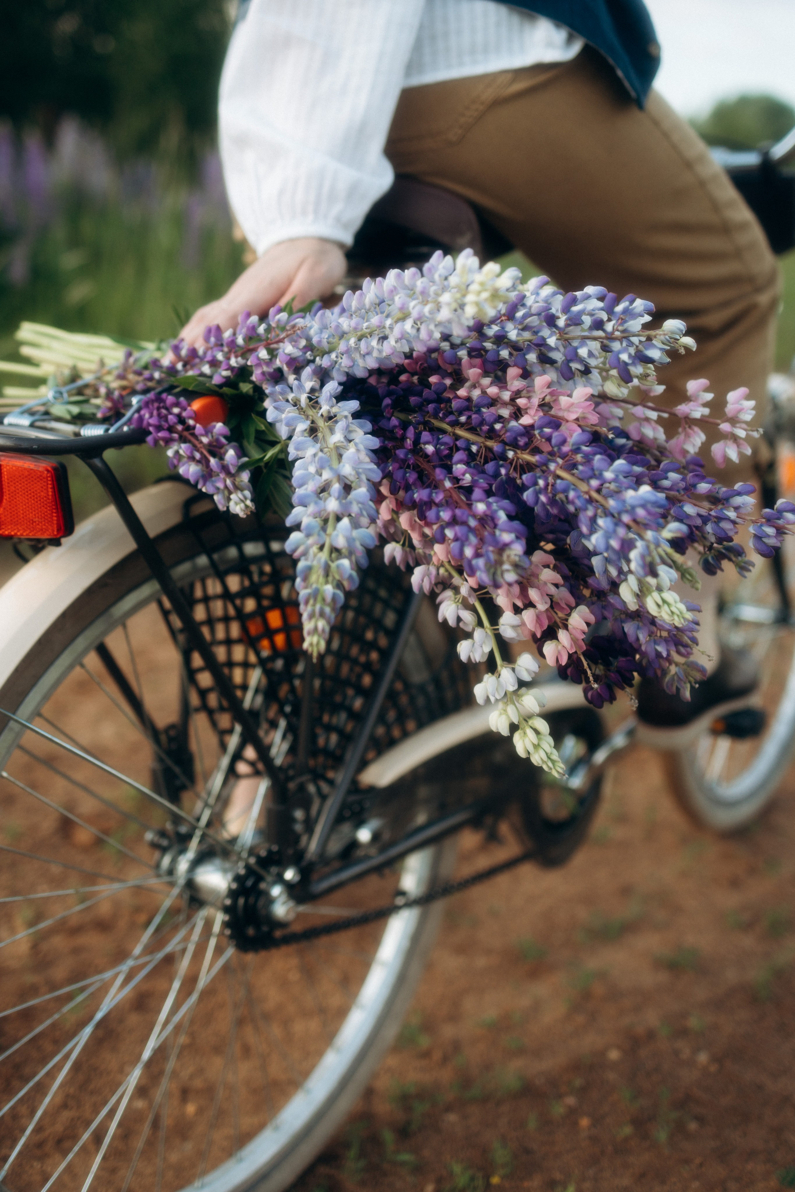 Лето. Фотограф Валерия Ковпак. Москва. Химки. Куркино