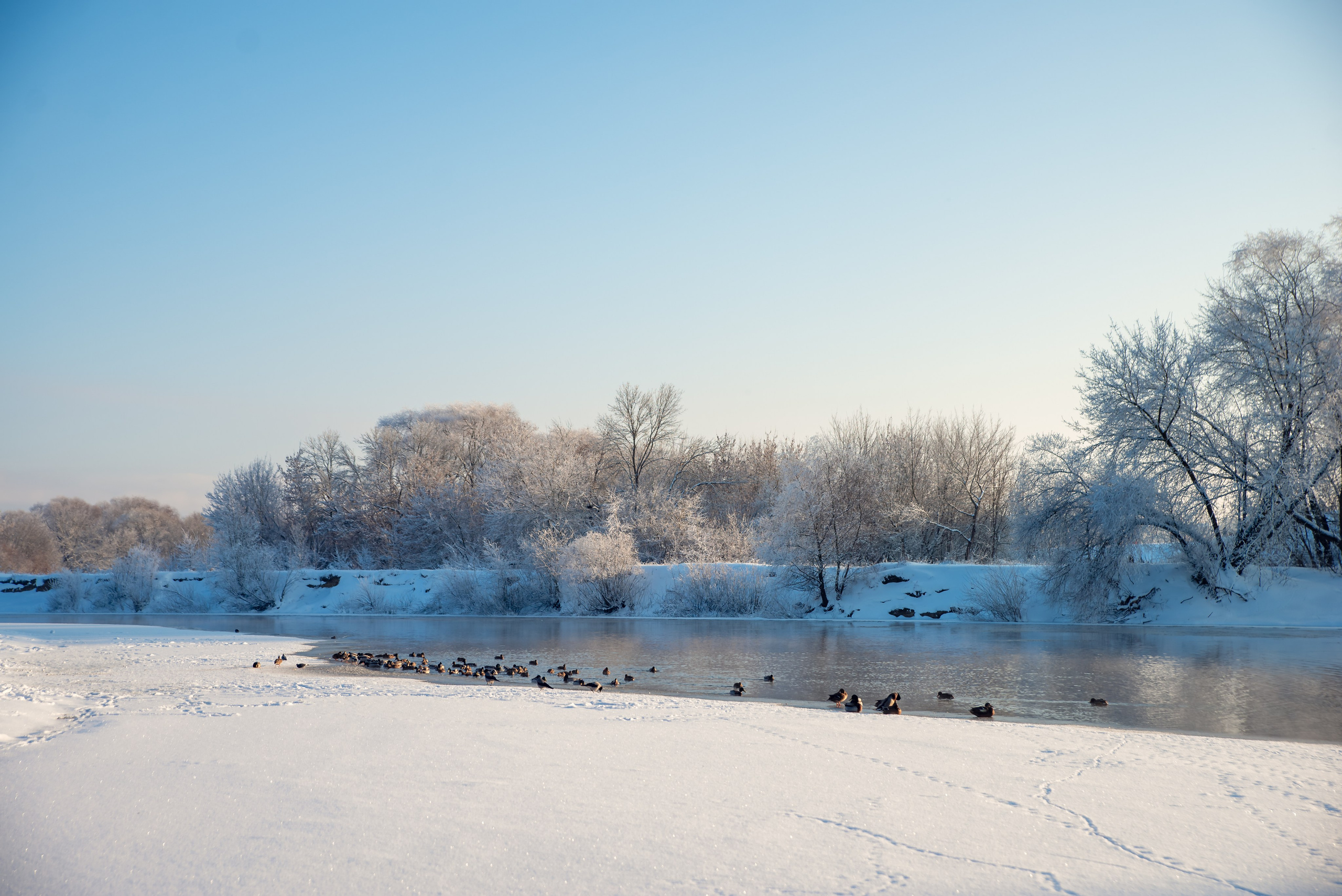 Зимушка зима. Фотограф Крещение Венчание Москва