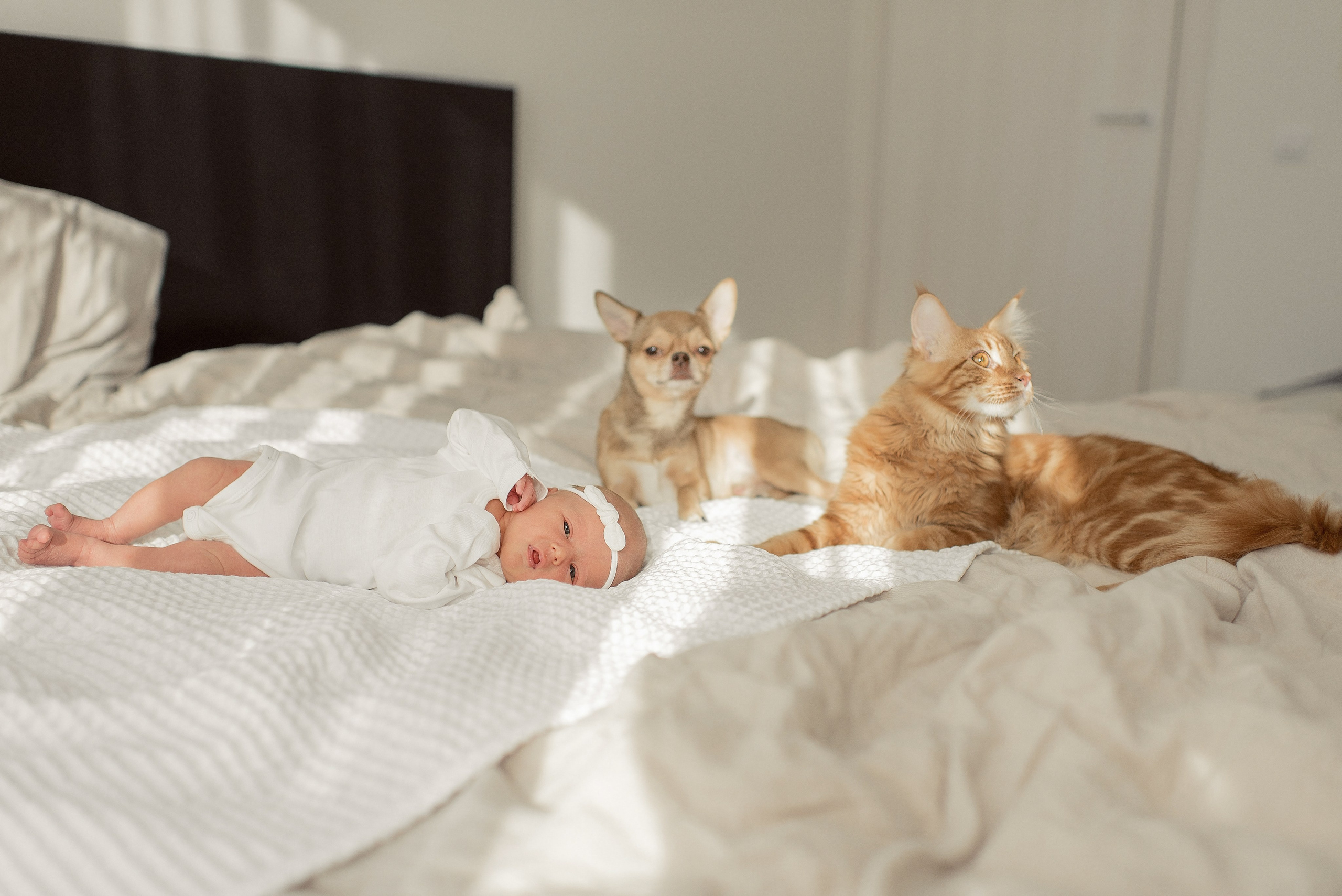 МИА_ВИКТОРИЯ. Свадебный и семейный фотограф РИТА БОЧКАРЁВА