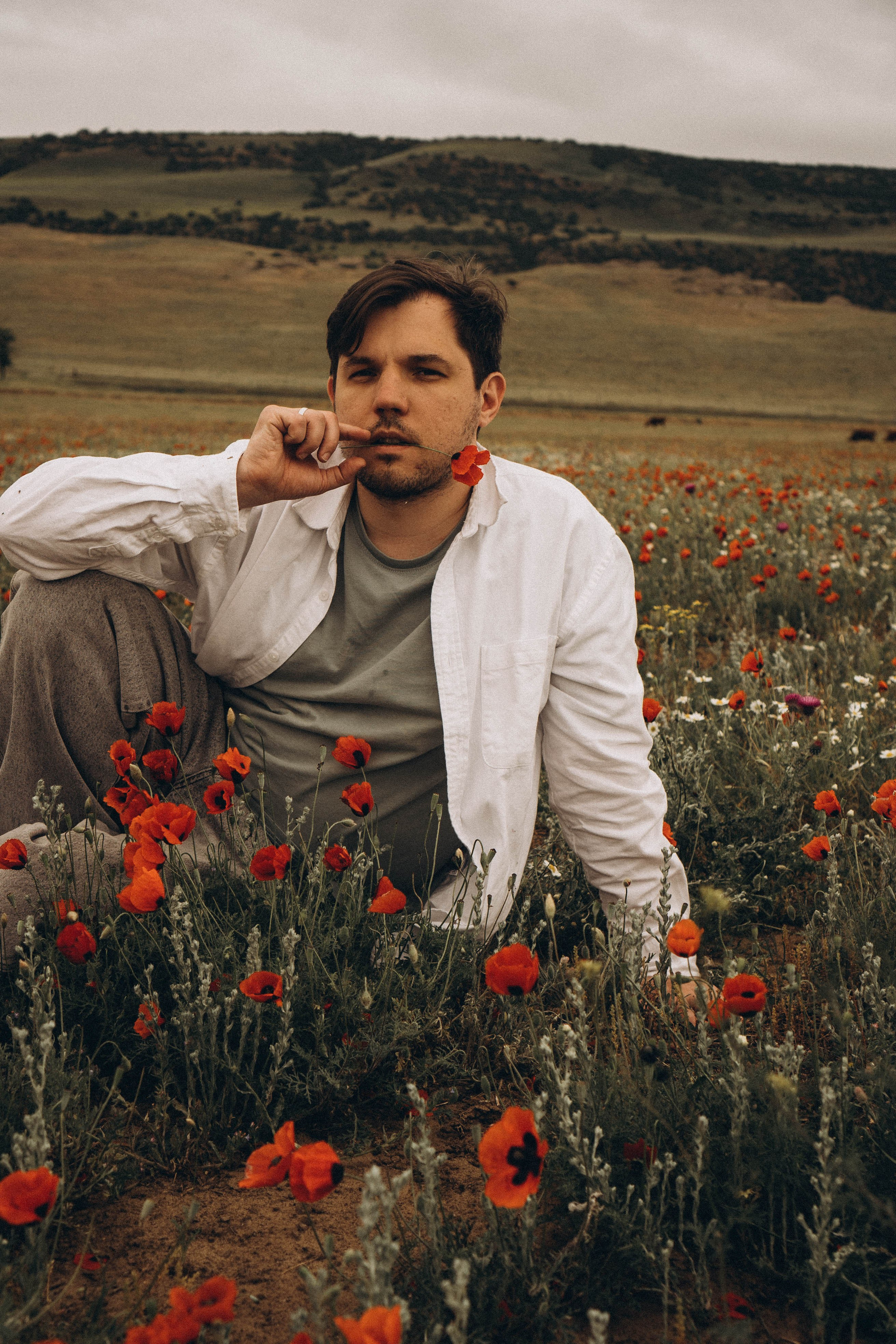 Маки. Профессиональный фотограф, Санкт-Петербург — Виктория Богомолова