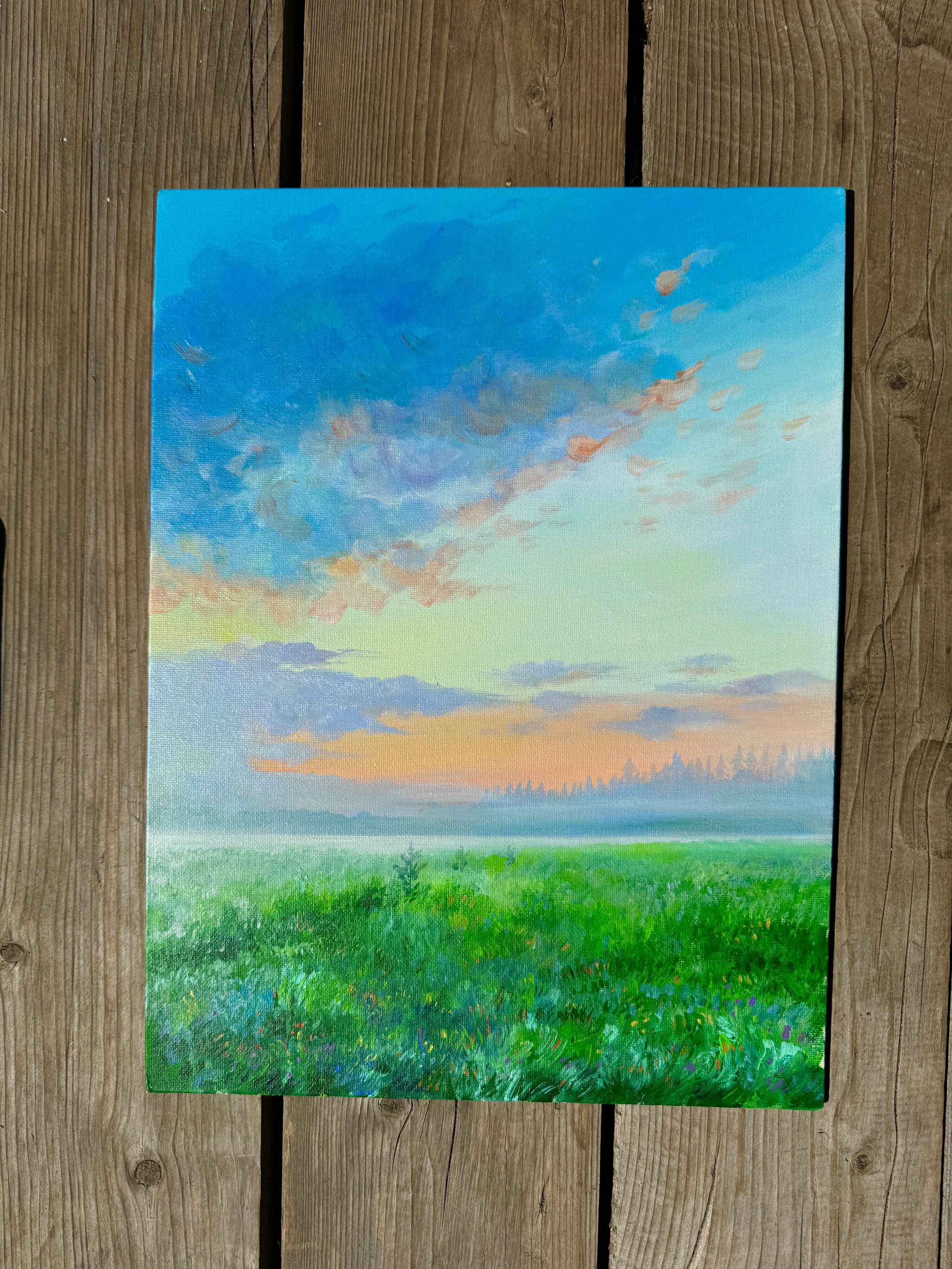 Живопись. Фотограф в Санкт-Петербурге