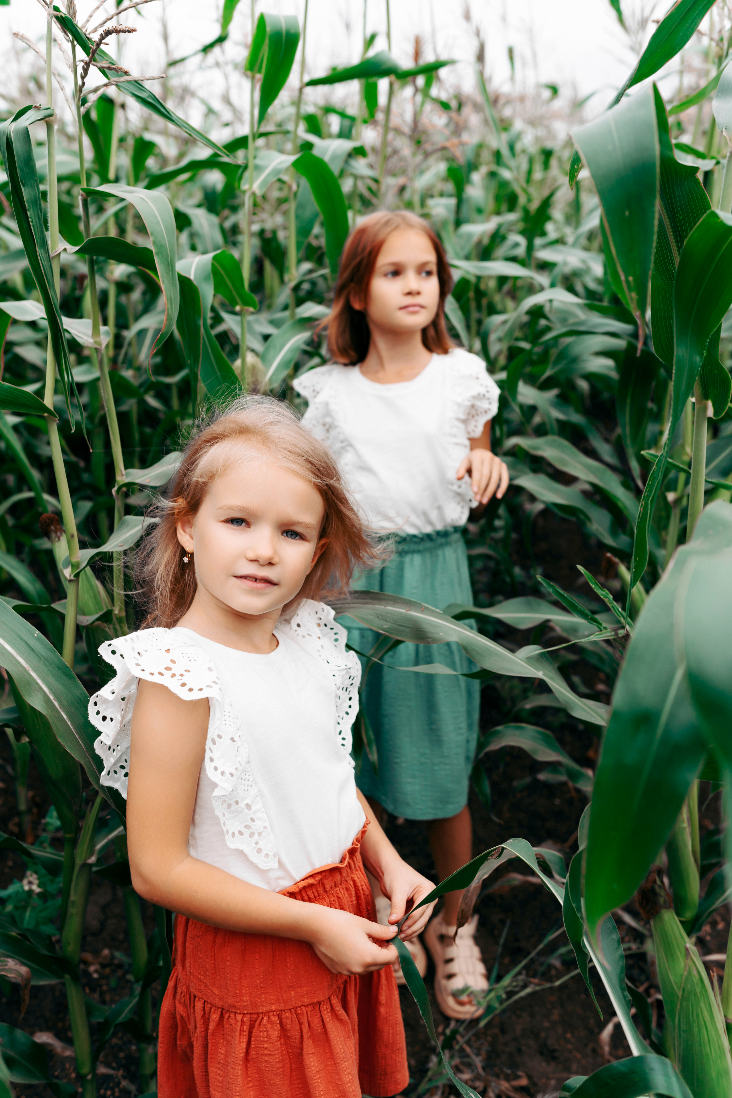 Семейная фотосессия в поле. Фотограф Ким Наталья в Красноярске