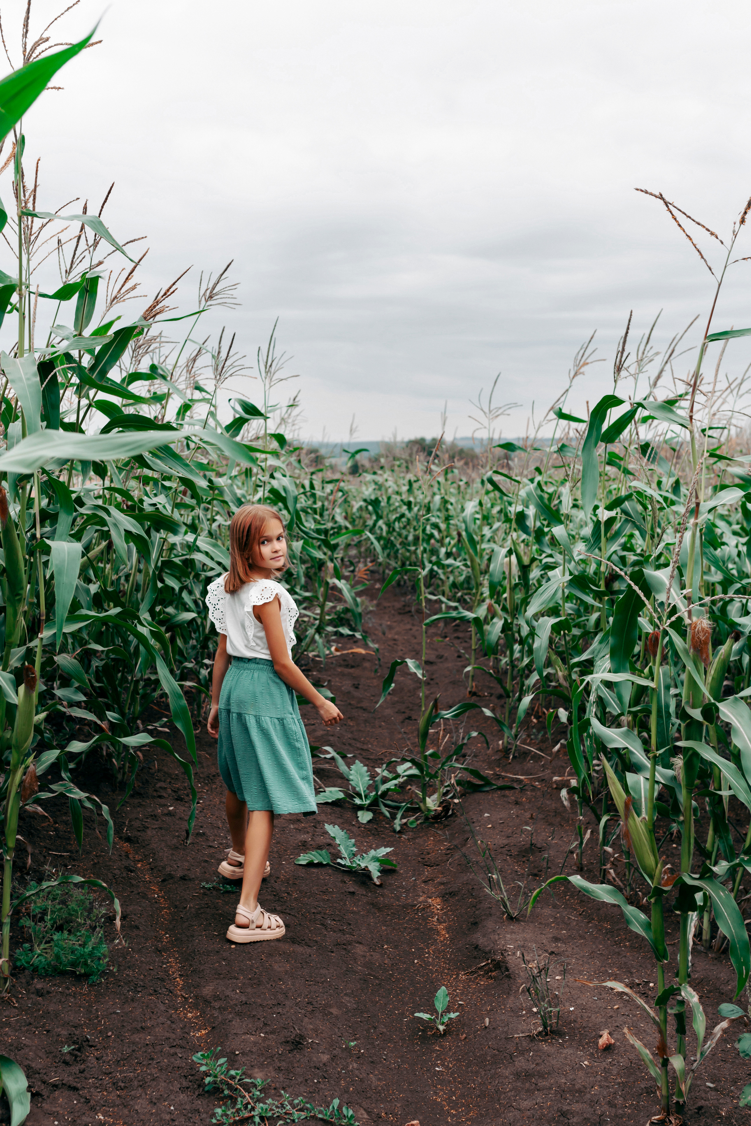 Семейная фотосессия в поле. Фотограф Ким Наталья в Красноярске