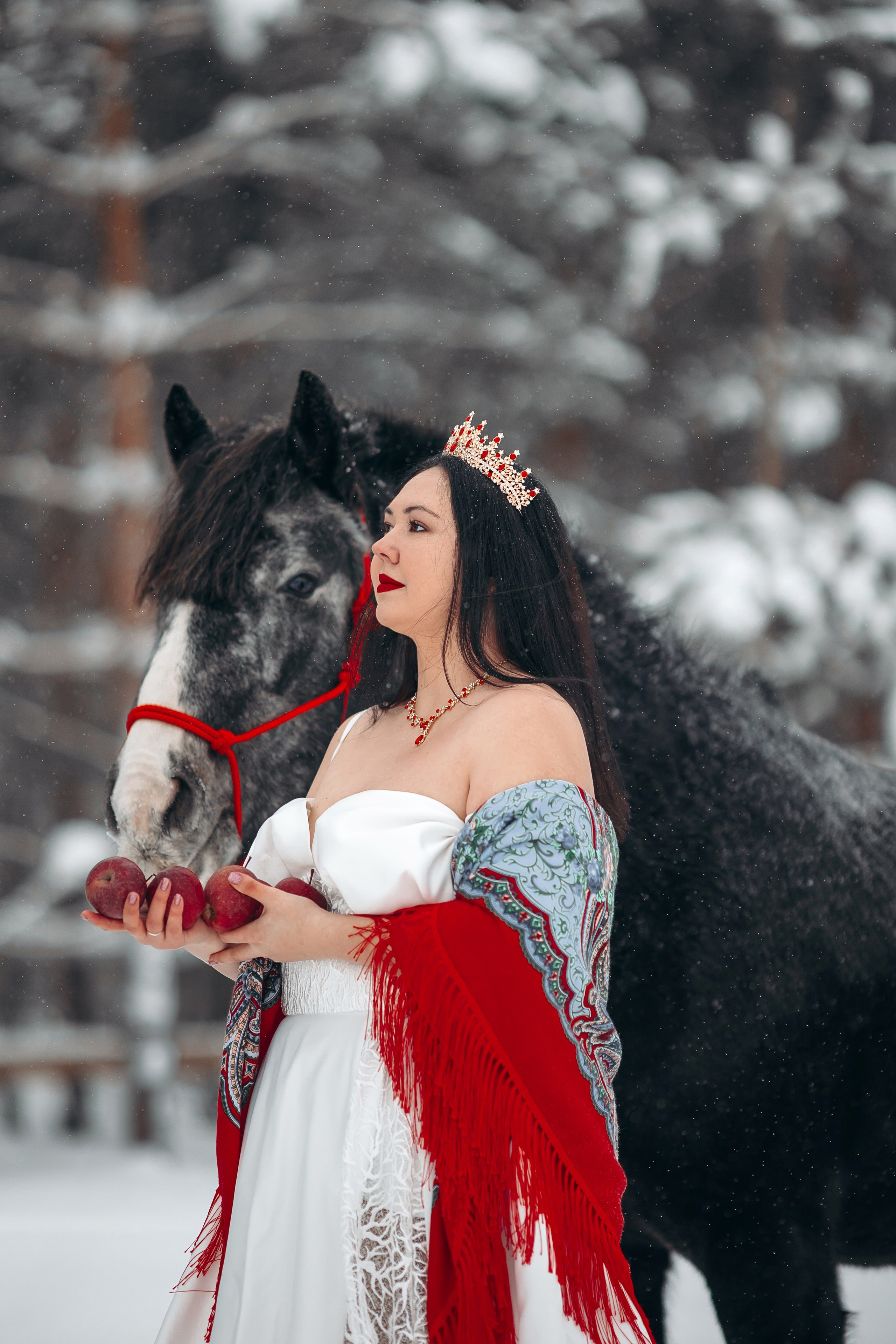 Яблоки на снегу. Анна Молчанова конный фотограф в Тюмени | фотосессии с лошадьми Тюмень