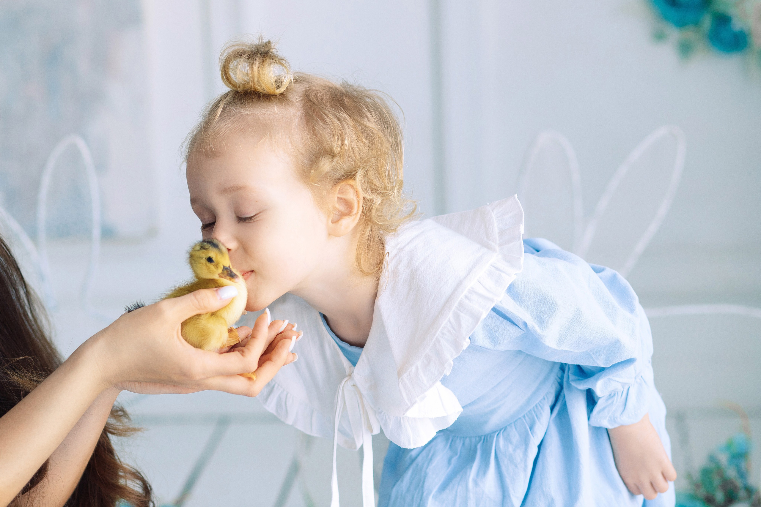 Пасхальная фотосессия Алиса в стране чудес с утятами. Фотограф в Санкт-Петербурге, Анна Скворцова